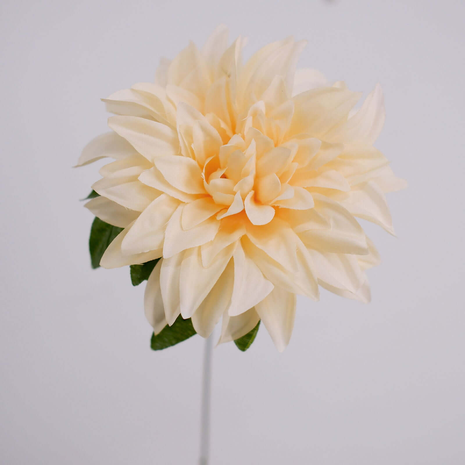 2 Bushes 20 Cream Large Head Artificial Dahlia Bouquet, Silk Bridal Flower Decorations