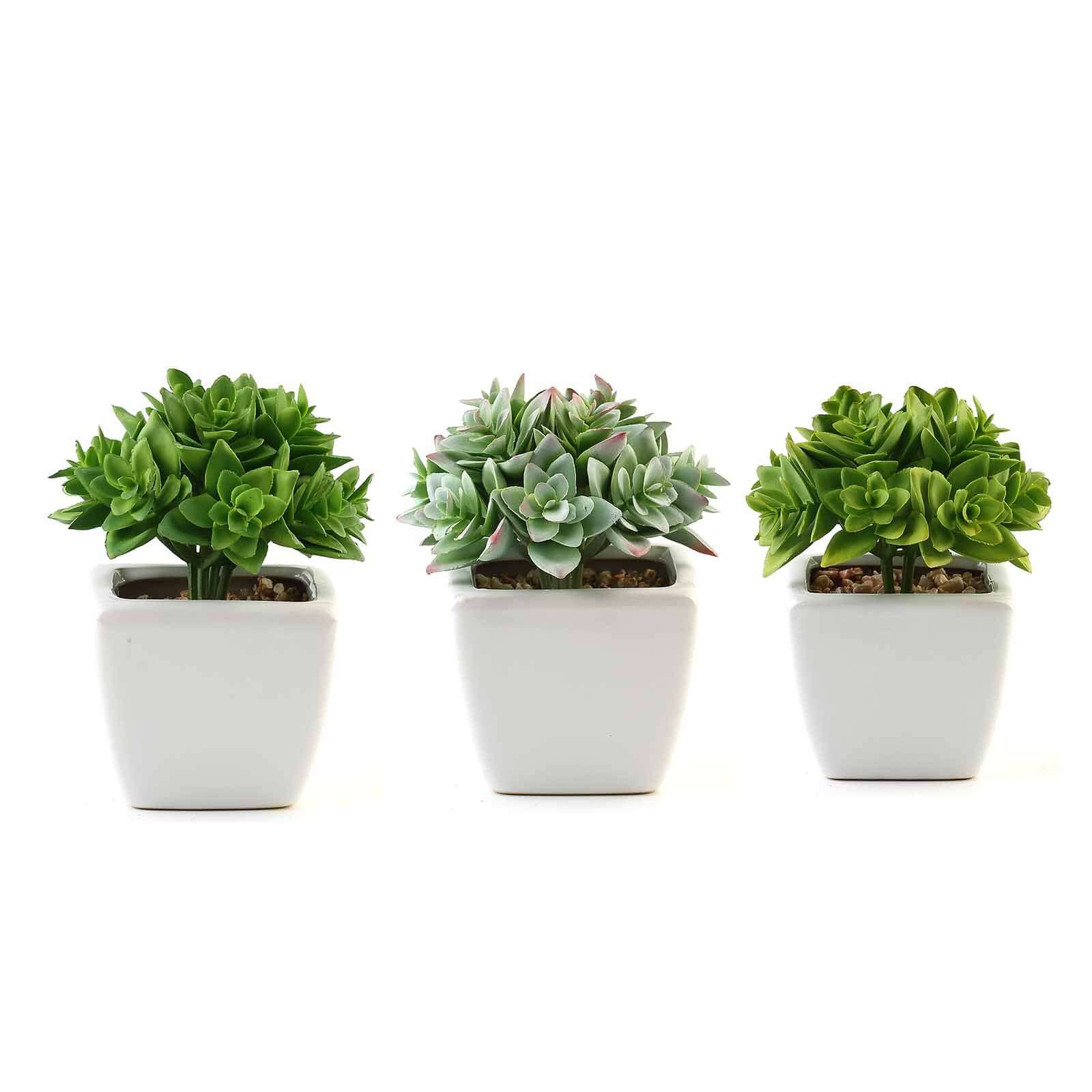 3-Pack Echeveria Artificial Succulents in Ceramic Pot Green - Lifelike Decorative Faux Plants for Home Office & Event Design 4