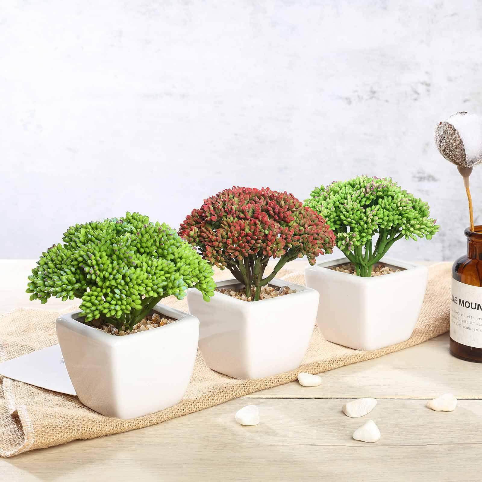 3-Pack Joy Sedum Artificial Succulents in Ceramic Pots - Lifelike Decorative Faux Plants for Home Office & Event Design 6