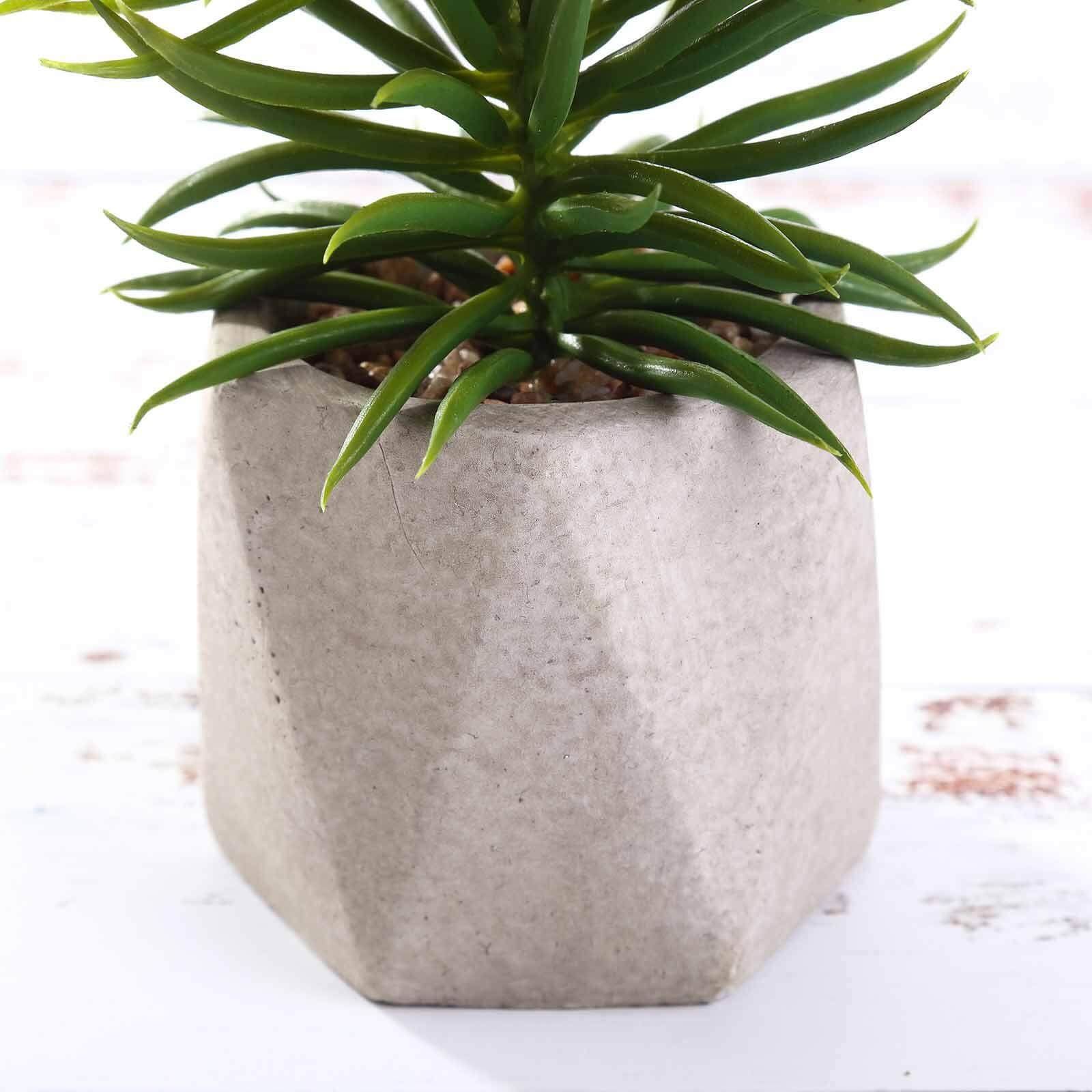 3-Pack Crassula Artificial Succulents in Geometric Ceramic Pot - Lifelike Decorative Faux Plants for Home Office & Event Design 8