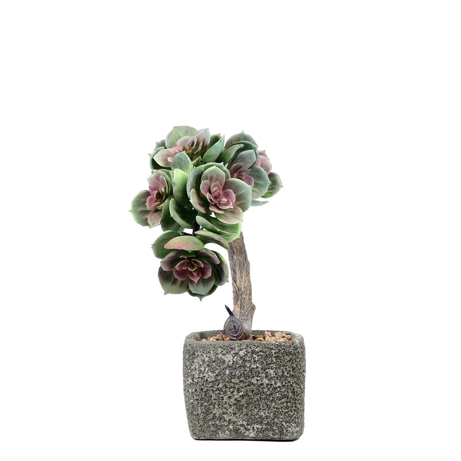 Perle Von Nurnberg Artificial Succulents in Concrete Pot - Lifelike Decorative Faux Plants for Home Office & Event Design 8