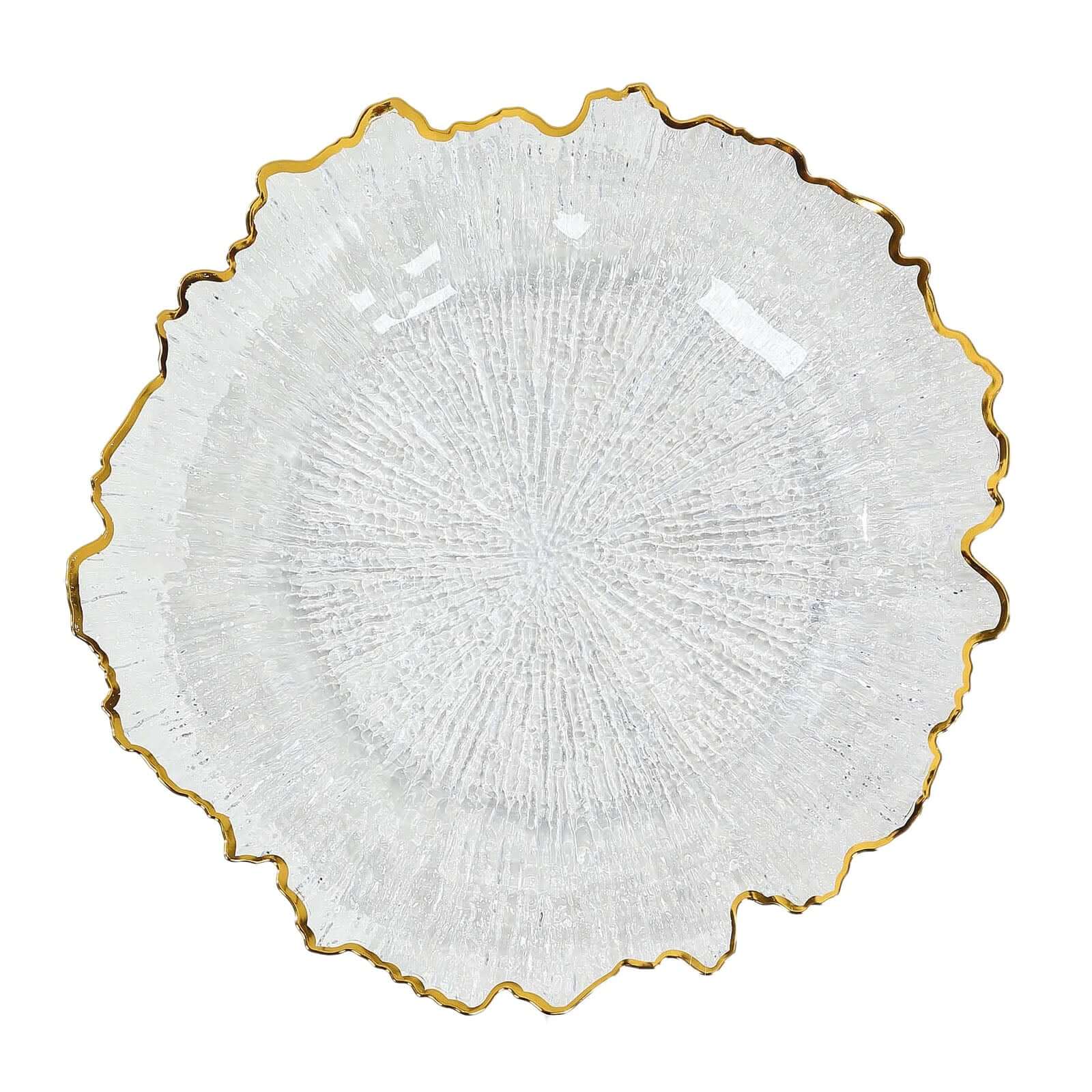 6-Pack Plastic Round Charger Plates 12 in Clear Reef Design with Gold Rim, Decorative Dinner Party Serving Plates