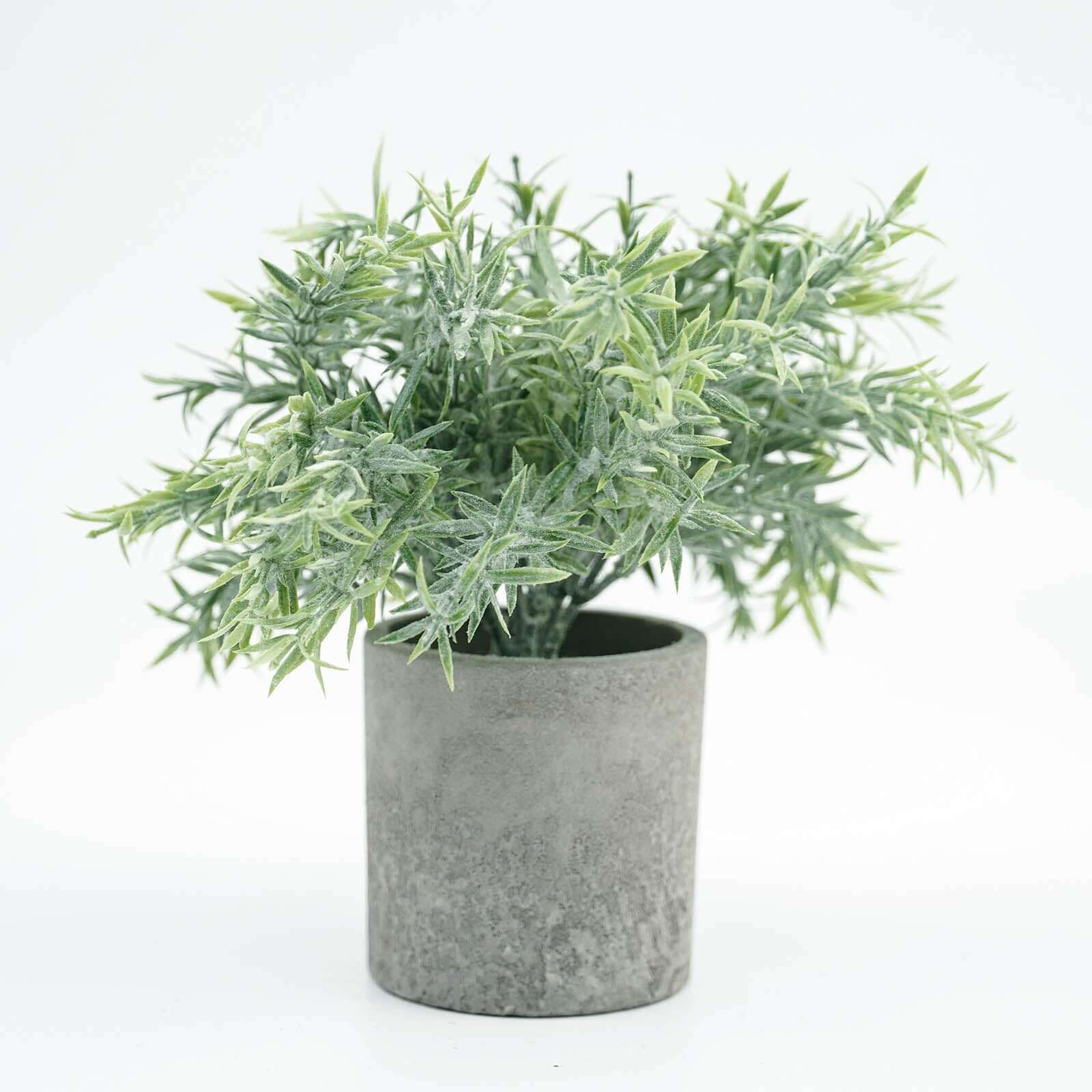 3 Plant Set Mini Potted Artificial Eucalyptus, Rosemary and Boxwood Faux Planter Collection - Small Decorative Faux Herb Garden for Desk Countertops Table Shelf Display 9