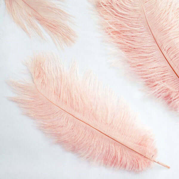 12 Pack 13-15 Rose Gold Natural Plume Real Ostrich Feathers, DIY Centerpiece Fillers