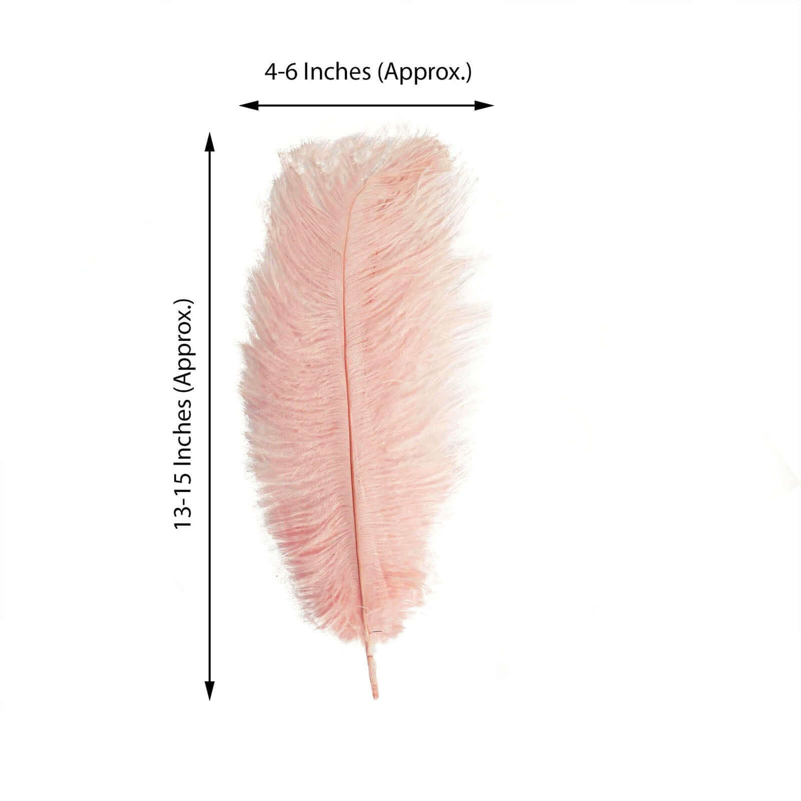 12 Pack 13-15 Rose Gold Natural Plume Real Ostrich Feathers, DIY Centerpiece Fillers