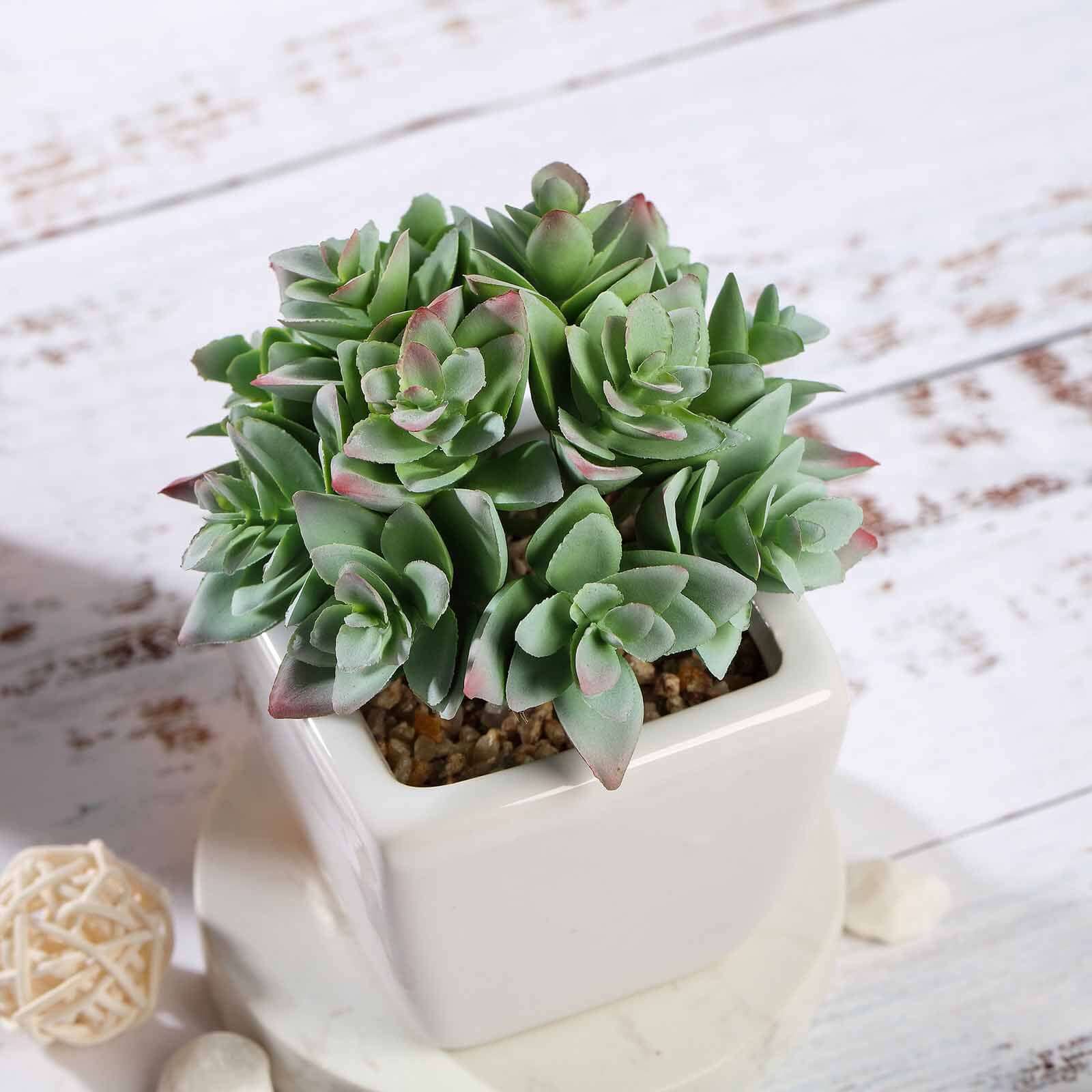 3-Pack Echeveria Artificial Succulents in Ceramic Pot Green - Lifelike Decorative Faux Plants for Home Office & Event Design 4