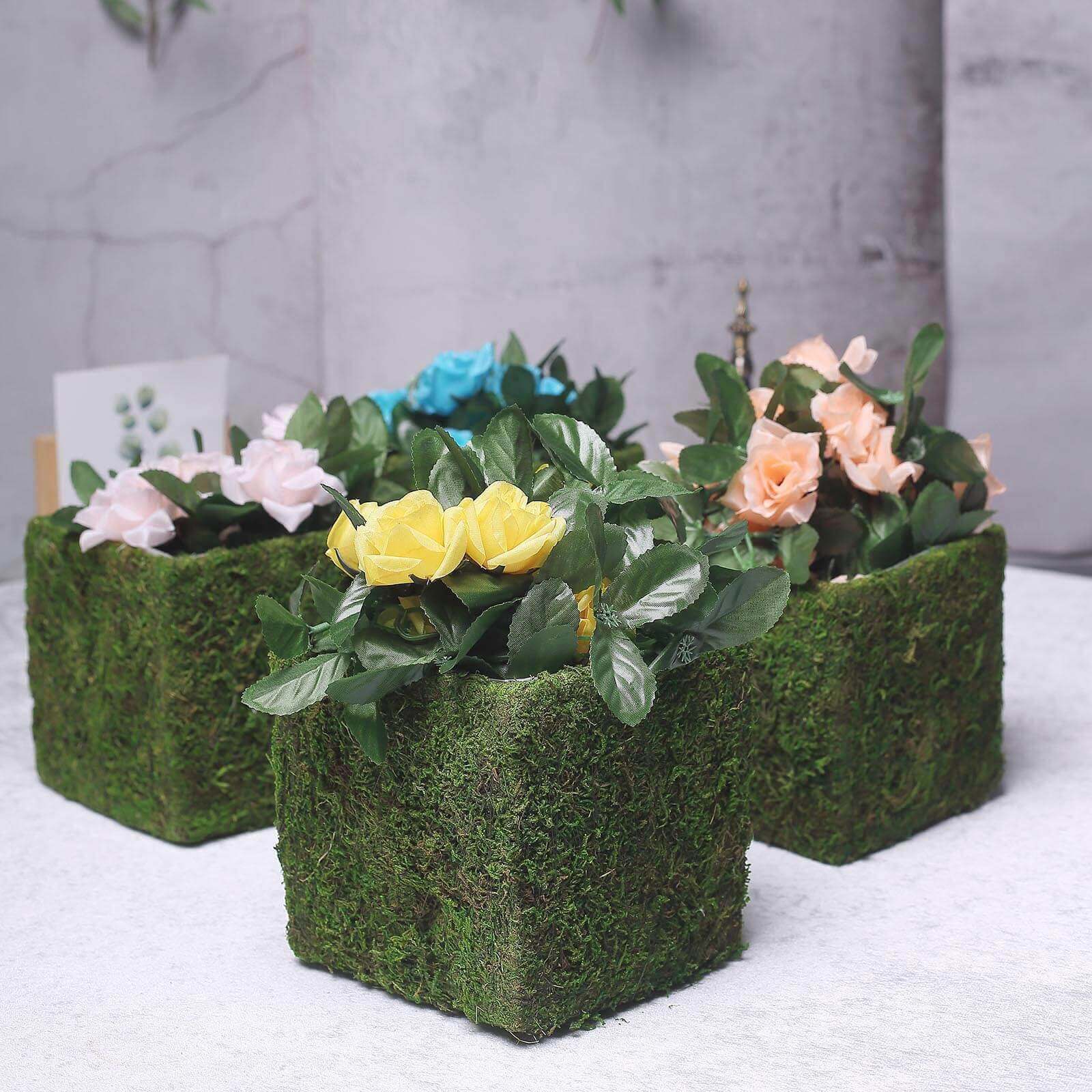 4-Pack Square Planter Boxes Covered with Inner Lining Green Preserved Moss - Flower Basket Centerpieces 6