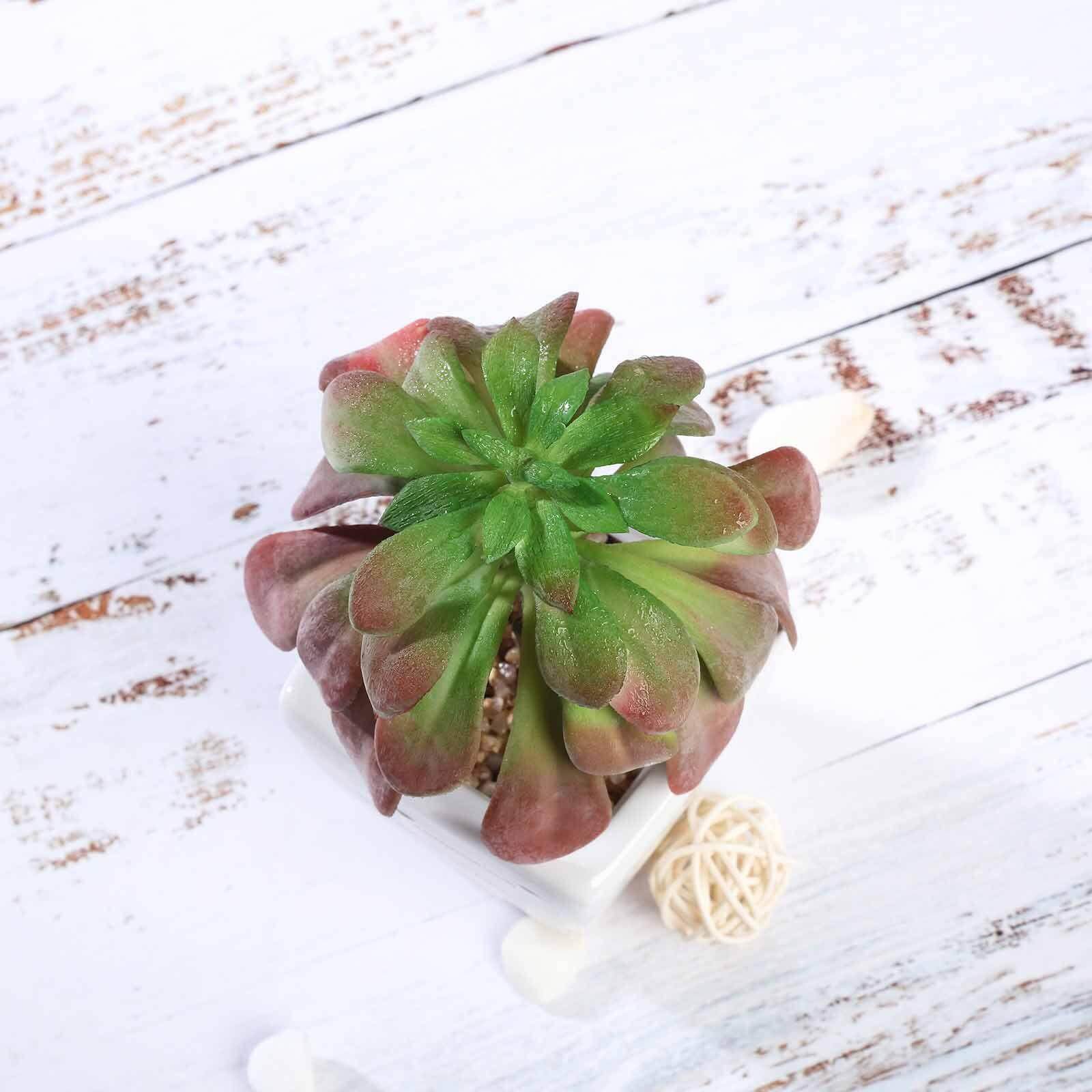 3-Pack Minibelle, Elegans & Grassneri Artificial Succulents in Ceramic Pot - Lifelike Decorative Faux Plants for Home Office & Event Design 5