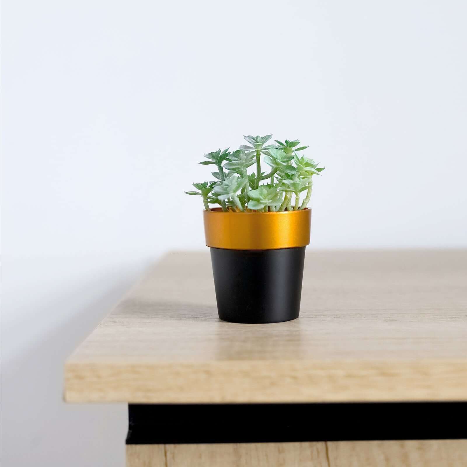 3-Pack Flower Plant Pots Small Design Black with Gold Rim - Plastic Indoor Decorative Planters 3