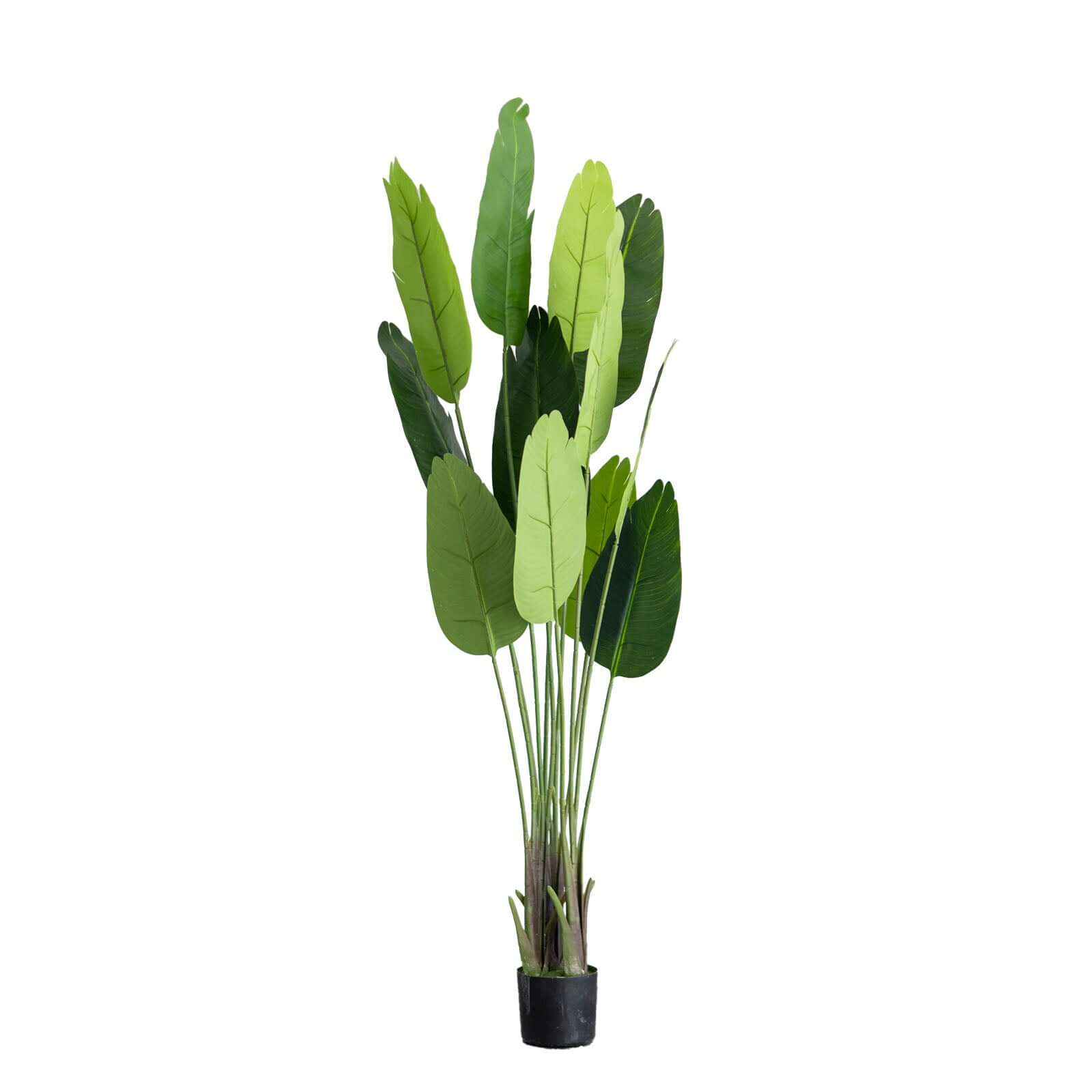 2 Pack 6ft Faux Potted Bird of Paradise Plant