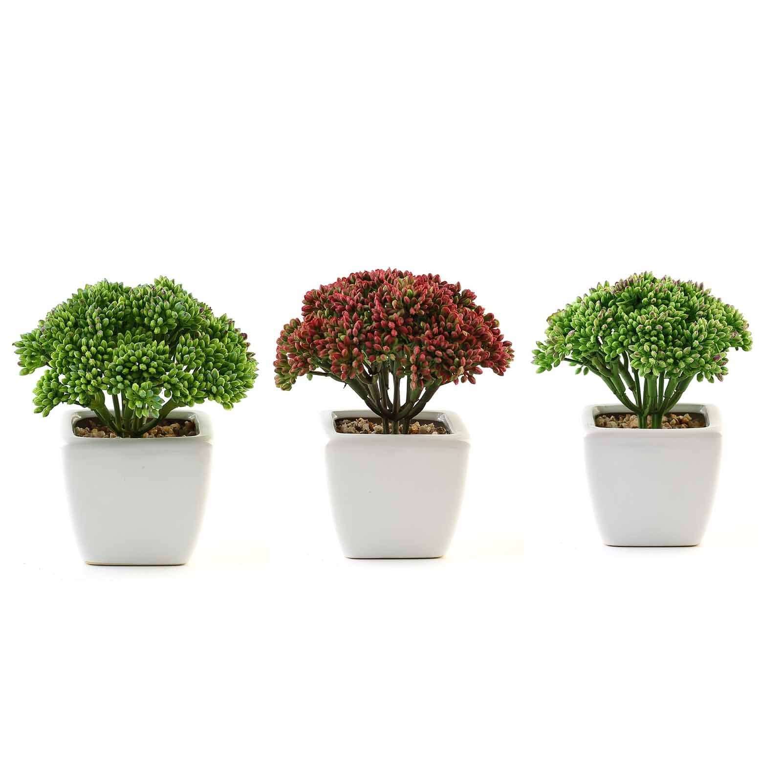 3-Pack Joy Sedum Artificial Succulents in Ceramic Pots - Lifelike Decorative Faux Plants for Home Office & Event Design 6