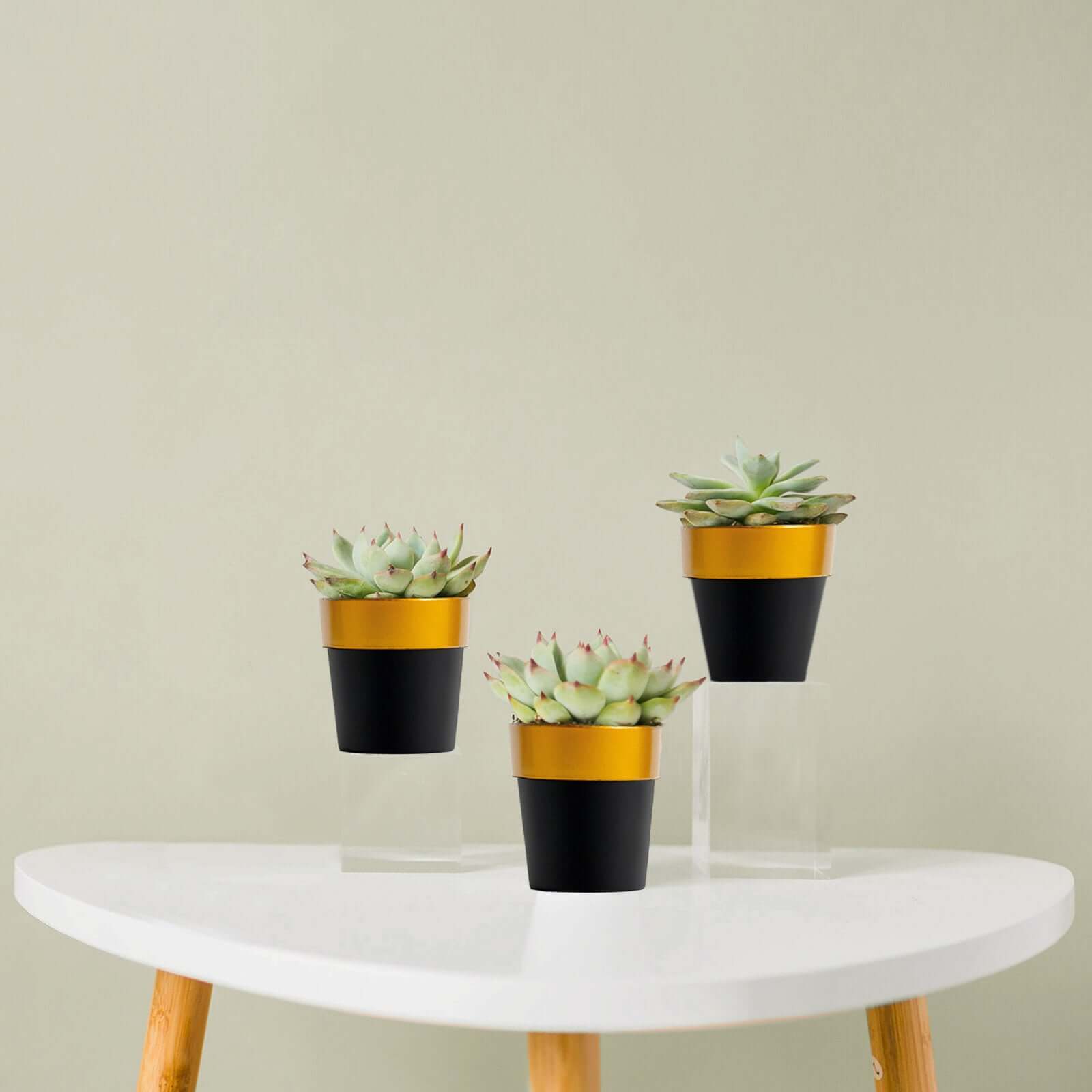 3-Pack Flower Plant Pots Small Design Black with Gold Rim - Plastic Indoor Decorative Planters 3