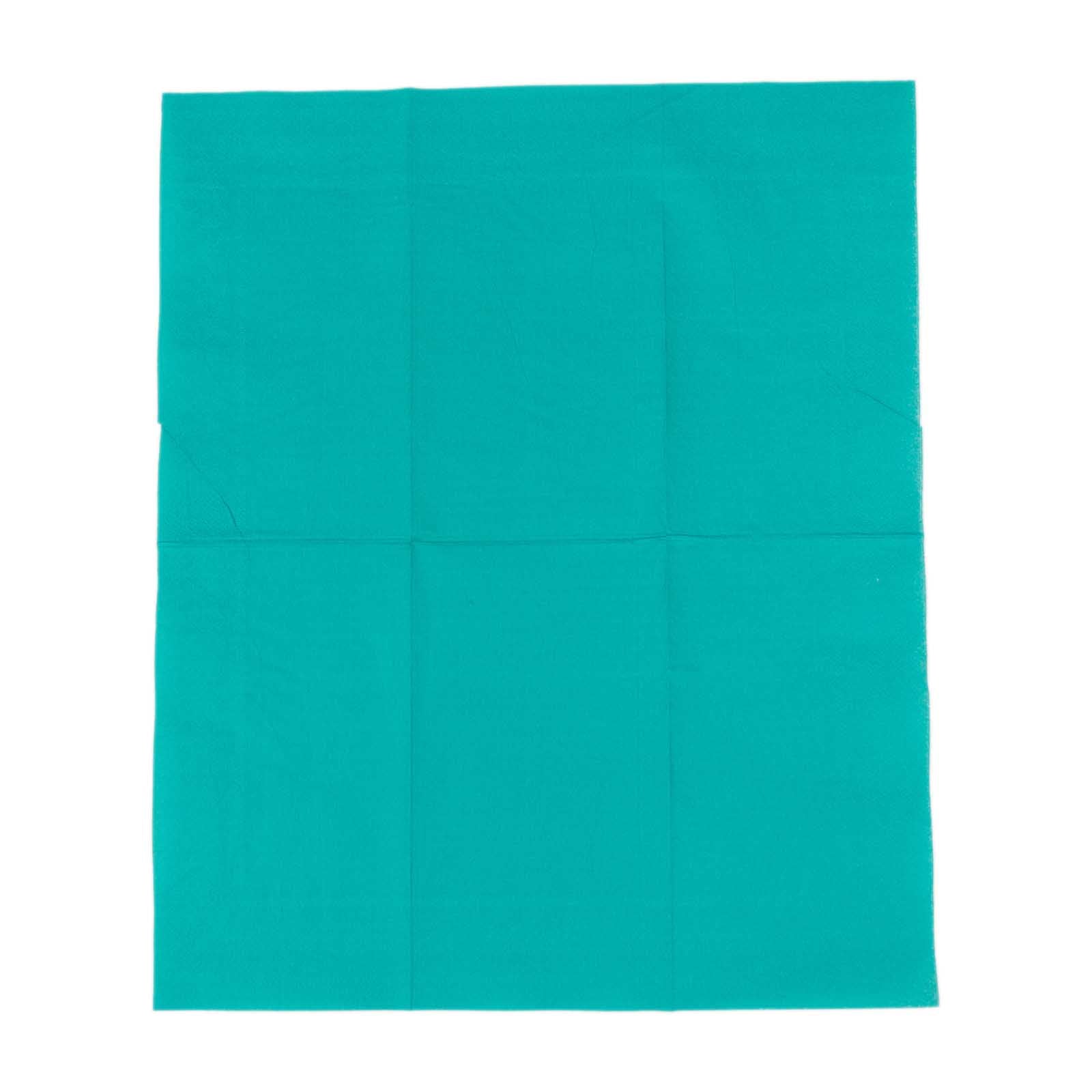 50-Pack Paper Napkins Soft Turquoise - Disposable 2-Ply Cocktail and Beverage Napkins for Weddings