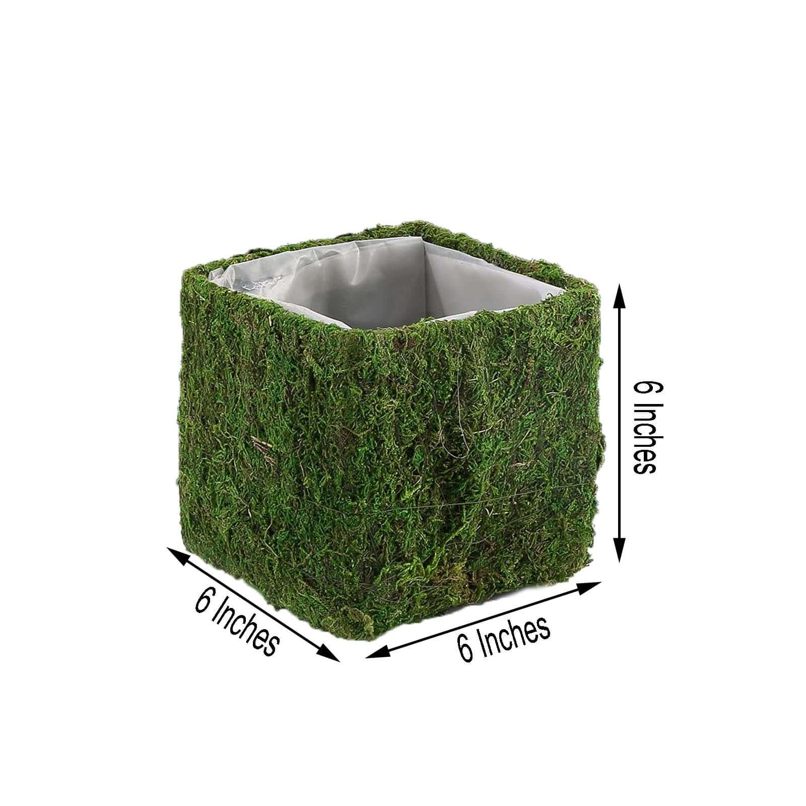 4-Pack Square Planter Boxes Covered with Inner Lining Green Preserved Moss - Flower Basket Centerpieces 6