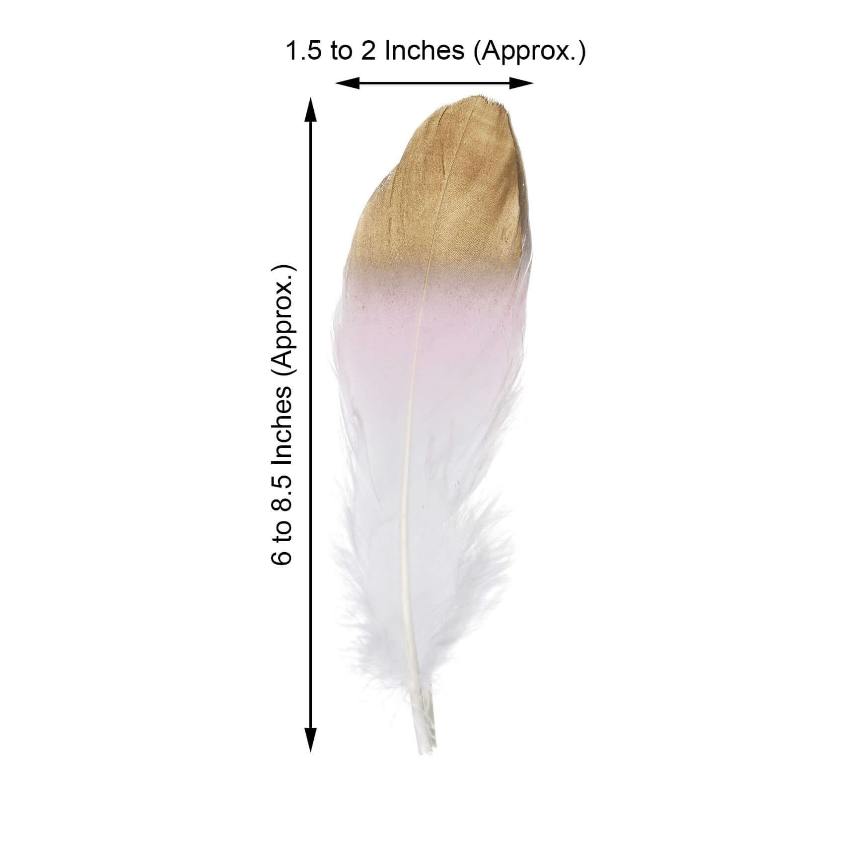 30-Pack Goose Feathers Craft Feathers Metallic Gold Tip Dual Tone Blush White - Decorative Feathers for DIY Projects