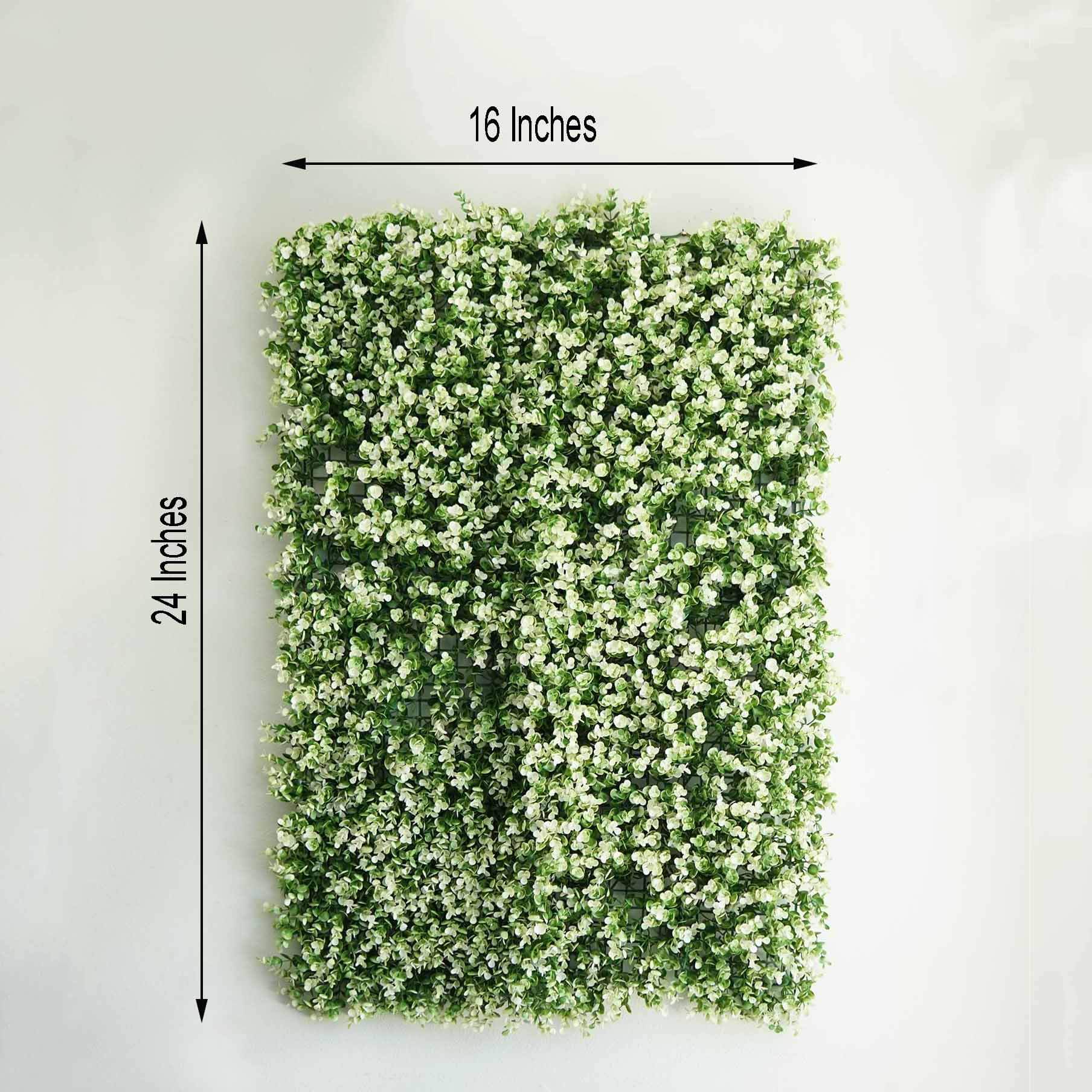 11 Sq ft. White Tip Green Boxwood Hedge Genlisea Garden Wall Backdrop Mat - 4 Artificial Panels