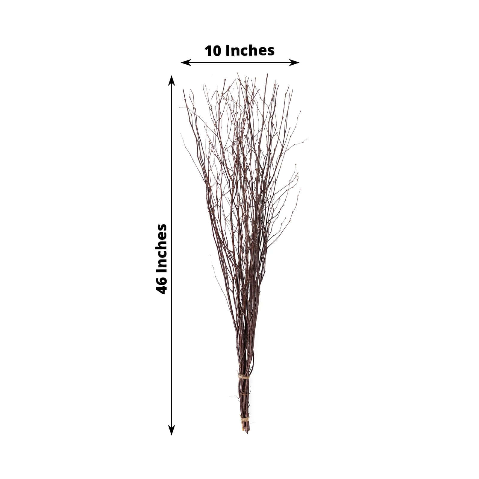 6-Pack Natural Birch Tree Branches 46 Natural - Versatile Extra Long Decorative Dried Willow Twigs Sticks for Vase Centerpiece Wedding Decor