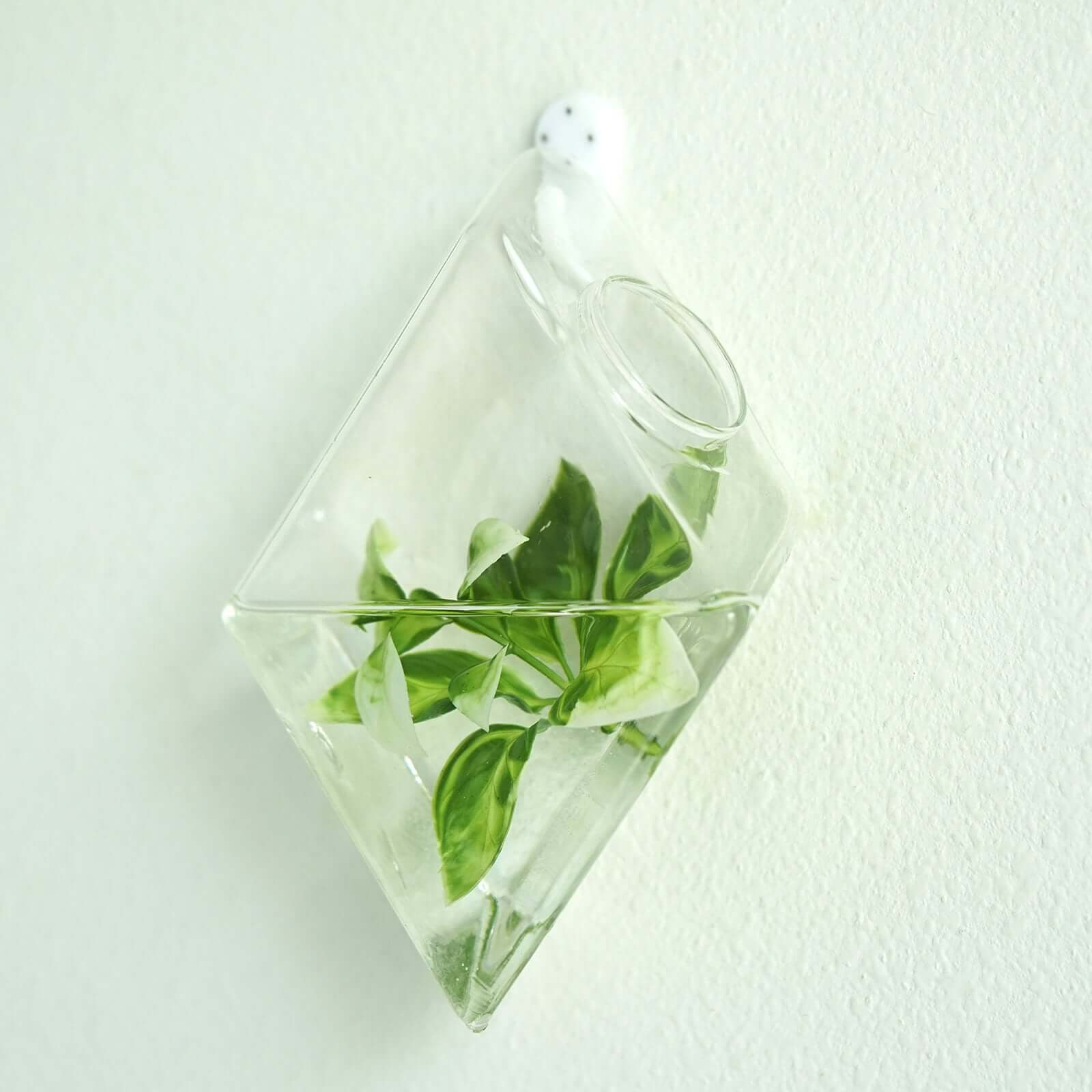 3-Pack Glass Wall Vase Hanging Rhombus Design Indoor Planters - Modern Wall Mounted Terrariums for Living Spaces