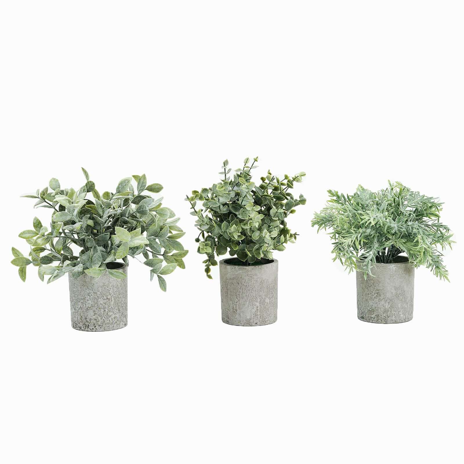 3 Plant Set Mini Potted Artificial Eucalyptus, Rosemary and Boxwood Faux Planter Collection - Small Decorative Faux Herb Garden for Desk Countertops Table Shelf Display 9