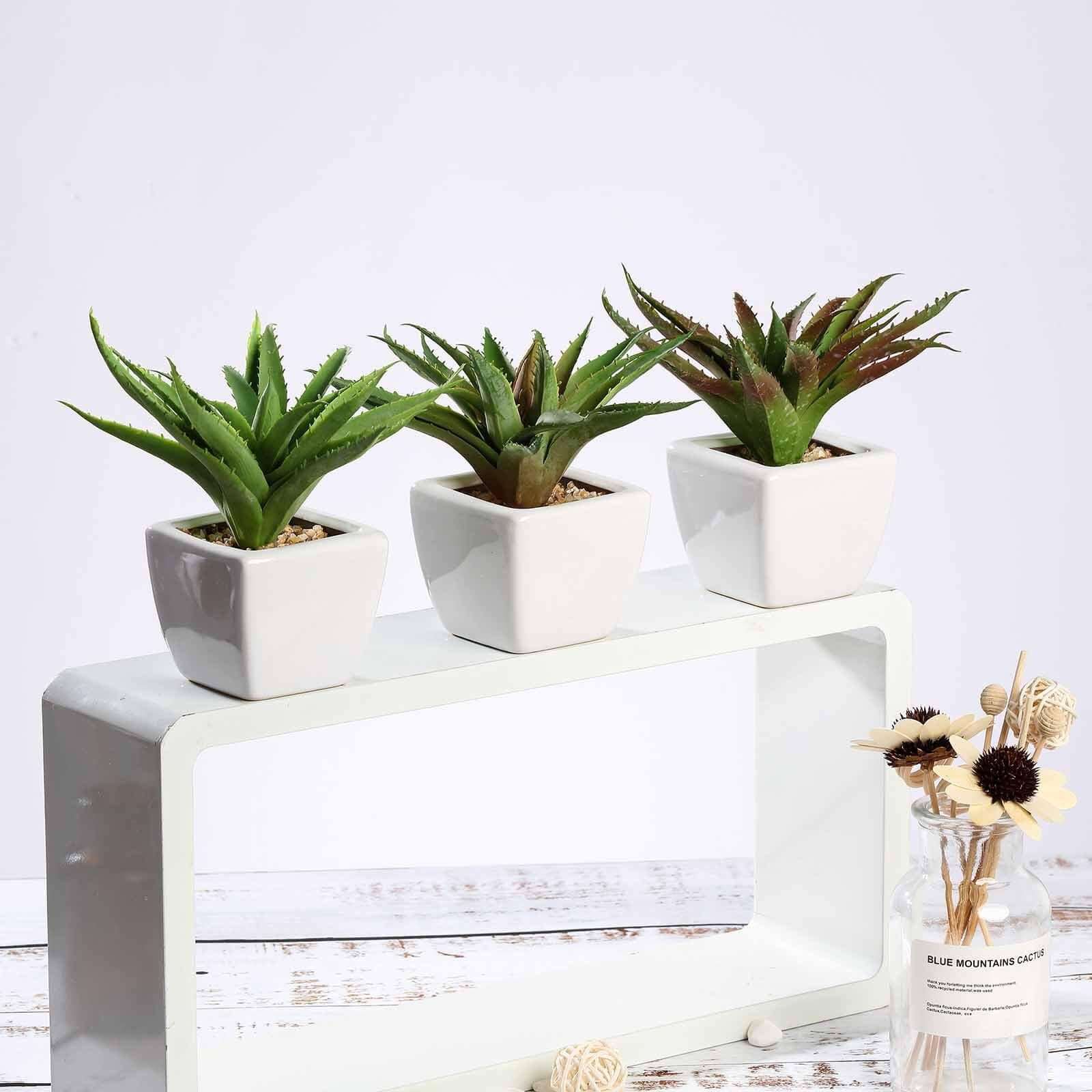 3-Pack Spotted Aloe Vera Artificial Succulents in Ceramic Pot - Lifelike Decorative Faux Plants for Home Office & Event Design 5