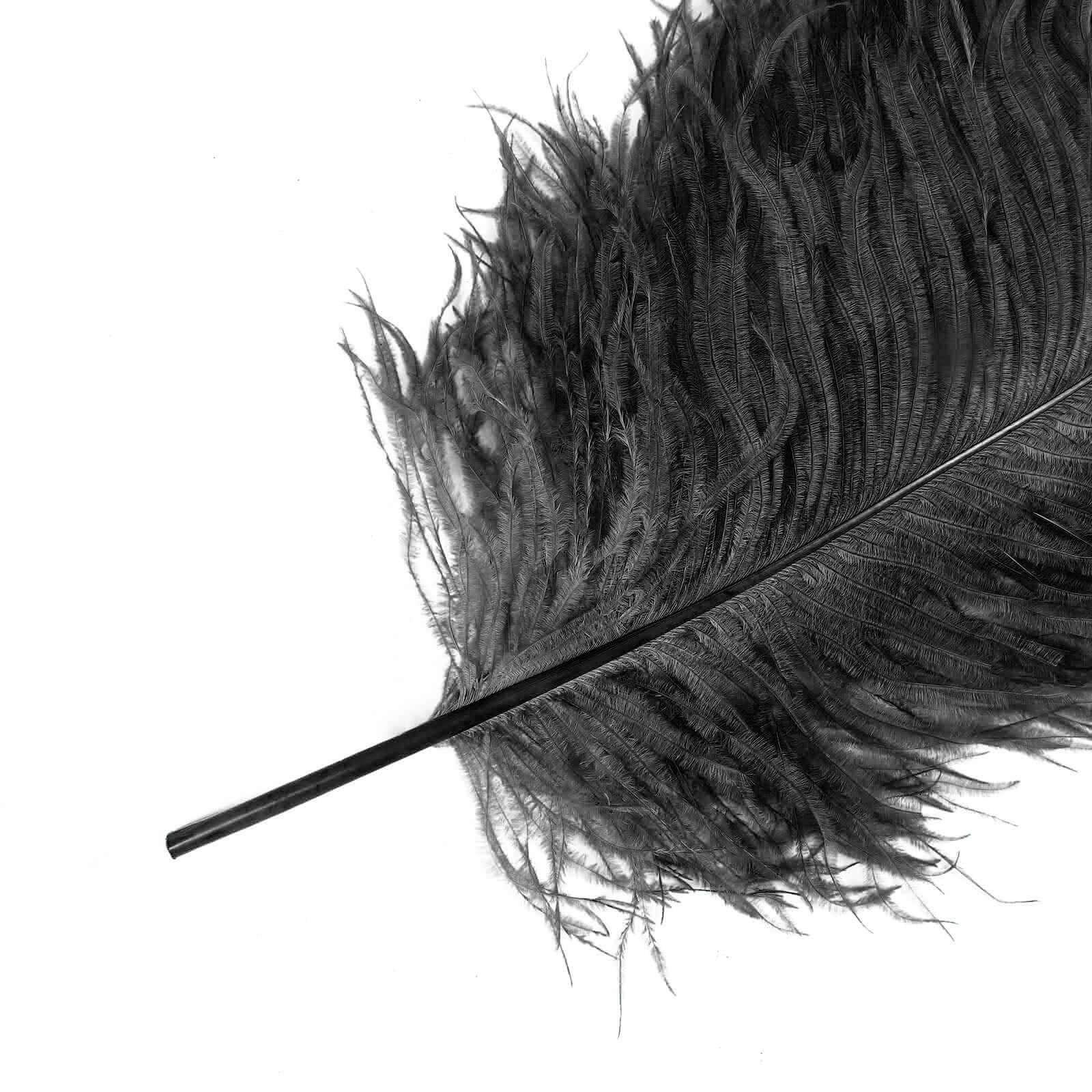 12 Pack Black Natural Plume Ostrich Feathers Centerpiece Filler - 24-26