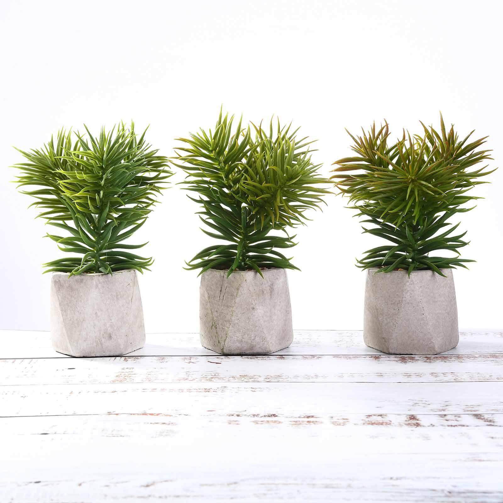 3-Pack Crassula Artificial Succulents in Geometric Ceramic Pot - Lifelike Decorative Faux Plants for Home Office & Event Design 8