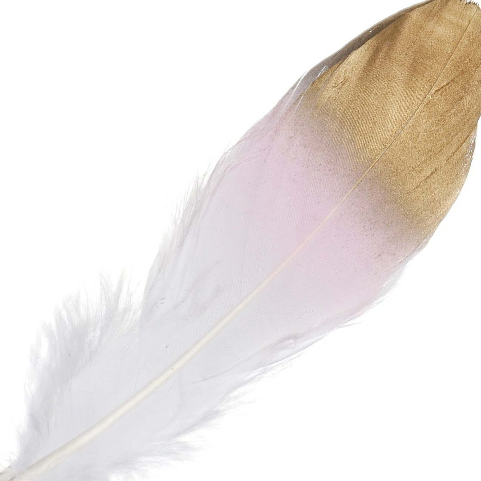 30-Pack Goose Feathers Craft Feathers Metallic Gold Tip Dual Tone Blush White - Decorative Feathers for DIY Projects