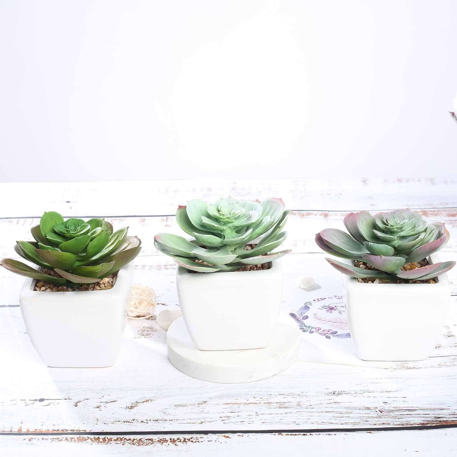 3-Pack Echeveria Artificial Succulents in Ceramic Pot - Lifelike Decorative Faux Plants for Home Office & Event Design 4