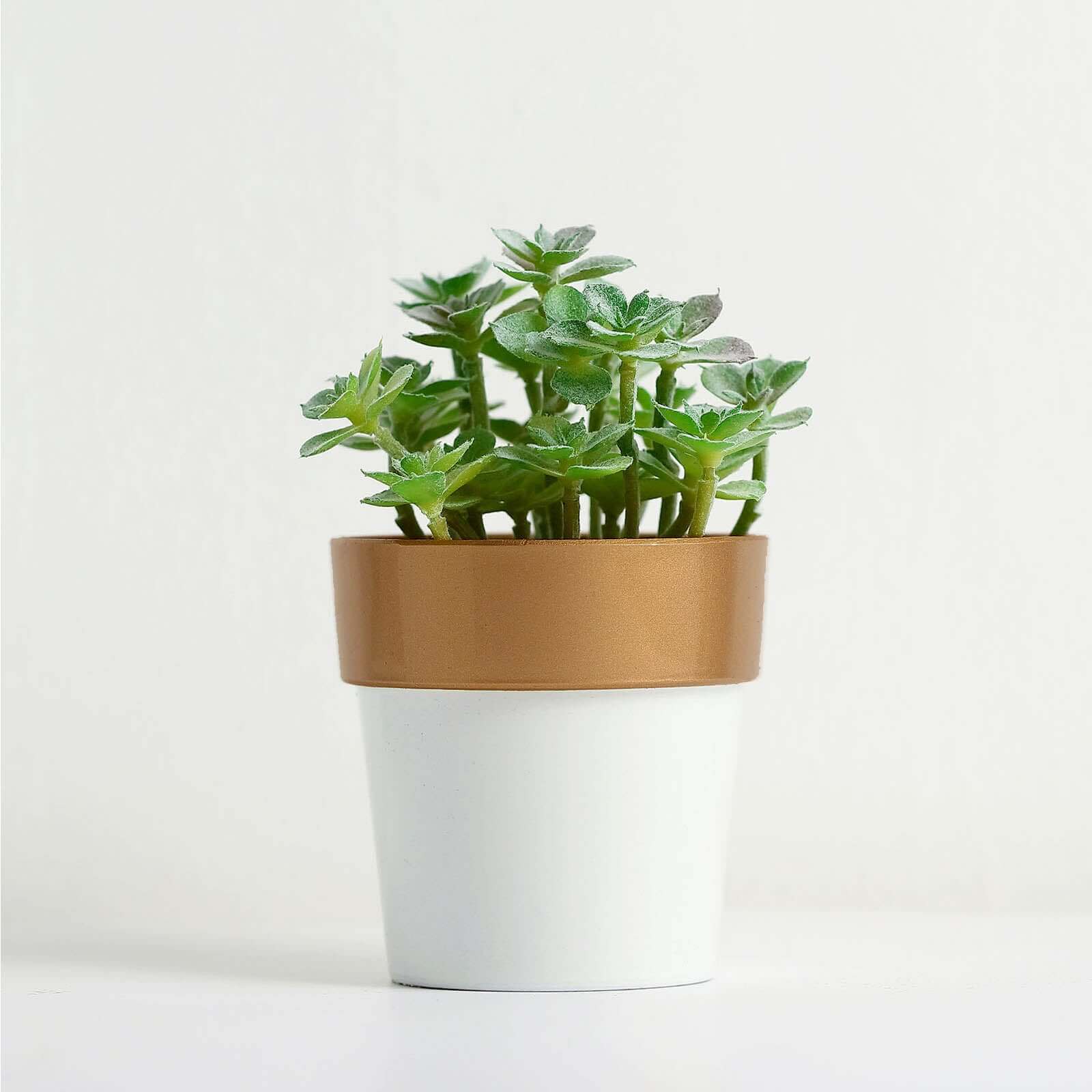 3-Pack Flower Plant Pots Small Design White with Gold Rim - Plastic Indoor Decorative Planters 3