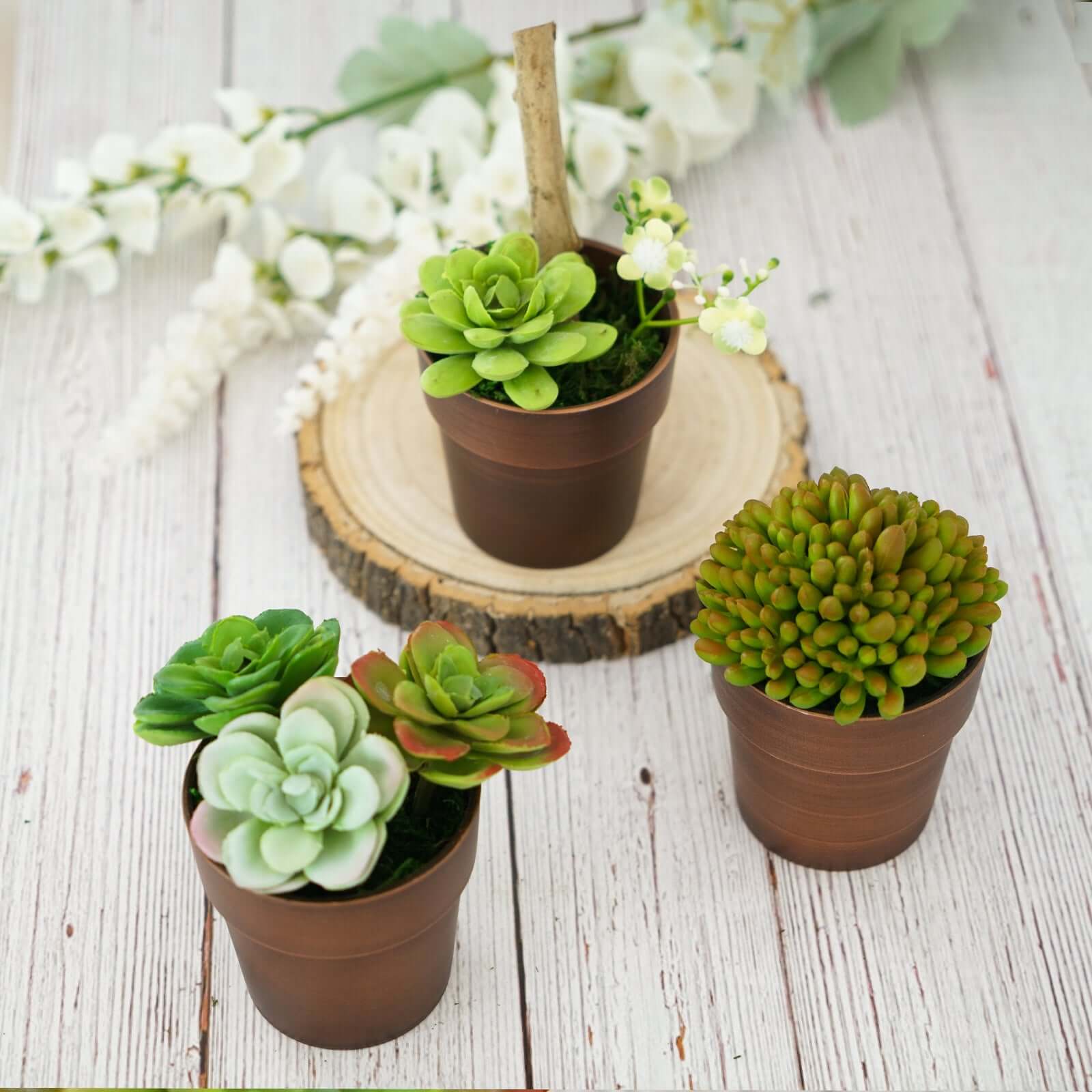 3-Pack Flower Plant Pots Small Design Rustic Brown - Plastic Indoor Decorative Planters 3