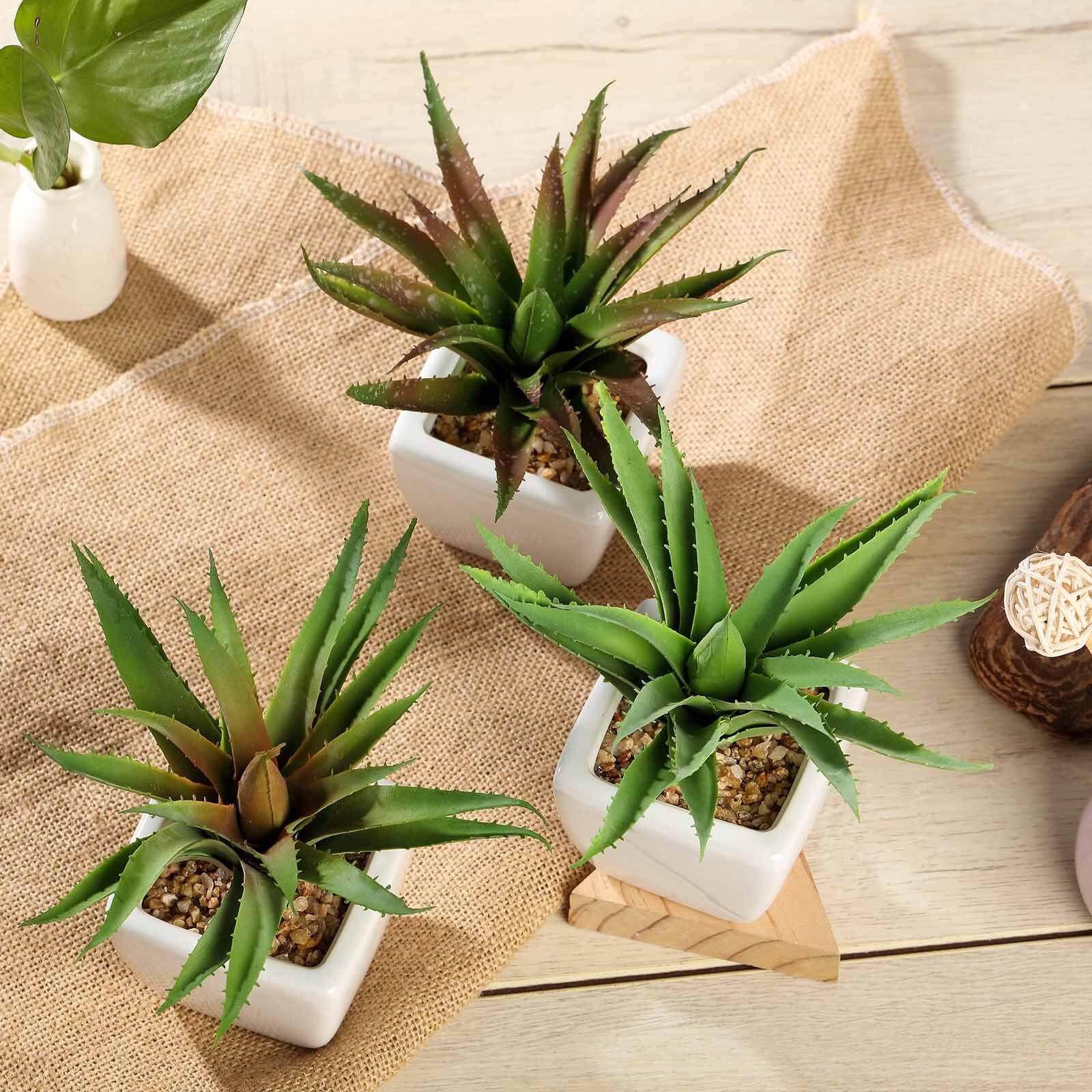 3-Pack Spotted Aloe Vera Artificial Succulents in Ceramic Pot - Lifelike Decorative Faux Plants for Home Office & Event Design 5