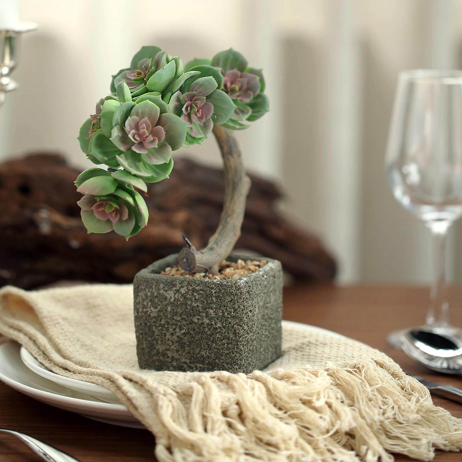 Perle Von Nurnberg Artificial Succulents in Concrete Pot - Lifelike Decorative Faux Plants for Home Office & Event Design 8