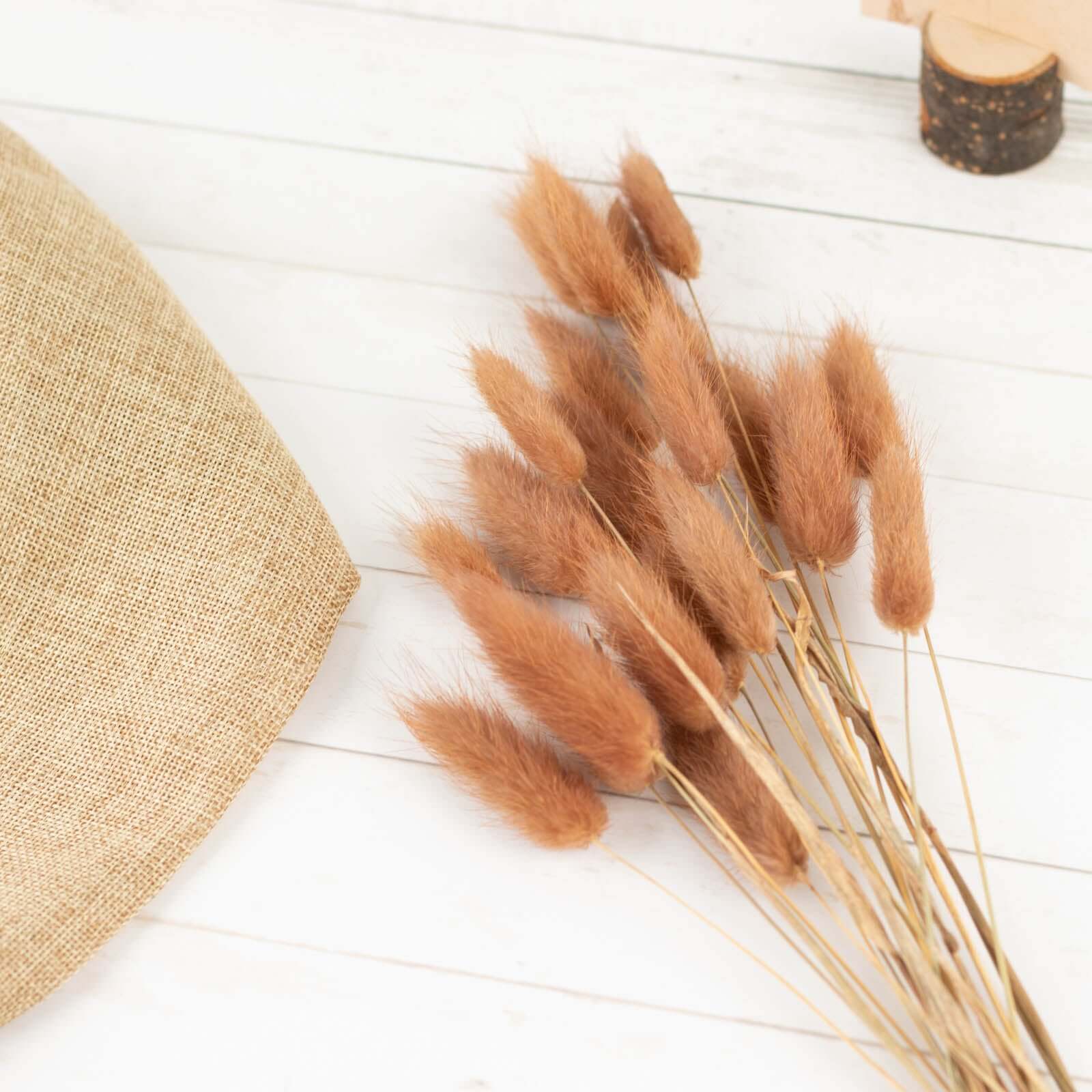 50-Pack Dried Bunny Tail Grass Brown - Rustic Chic Lagurus Ovatus Rabbit Tail Ornamental Grass for Modern Farmhouse Decor Event Styling & Floral Displays 15