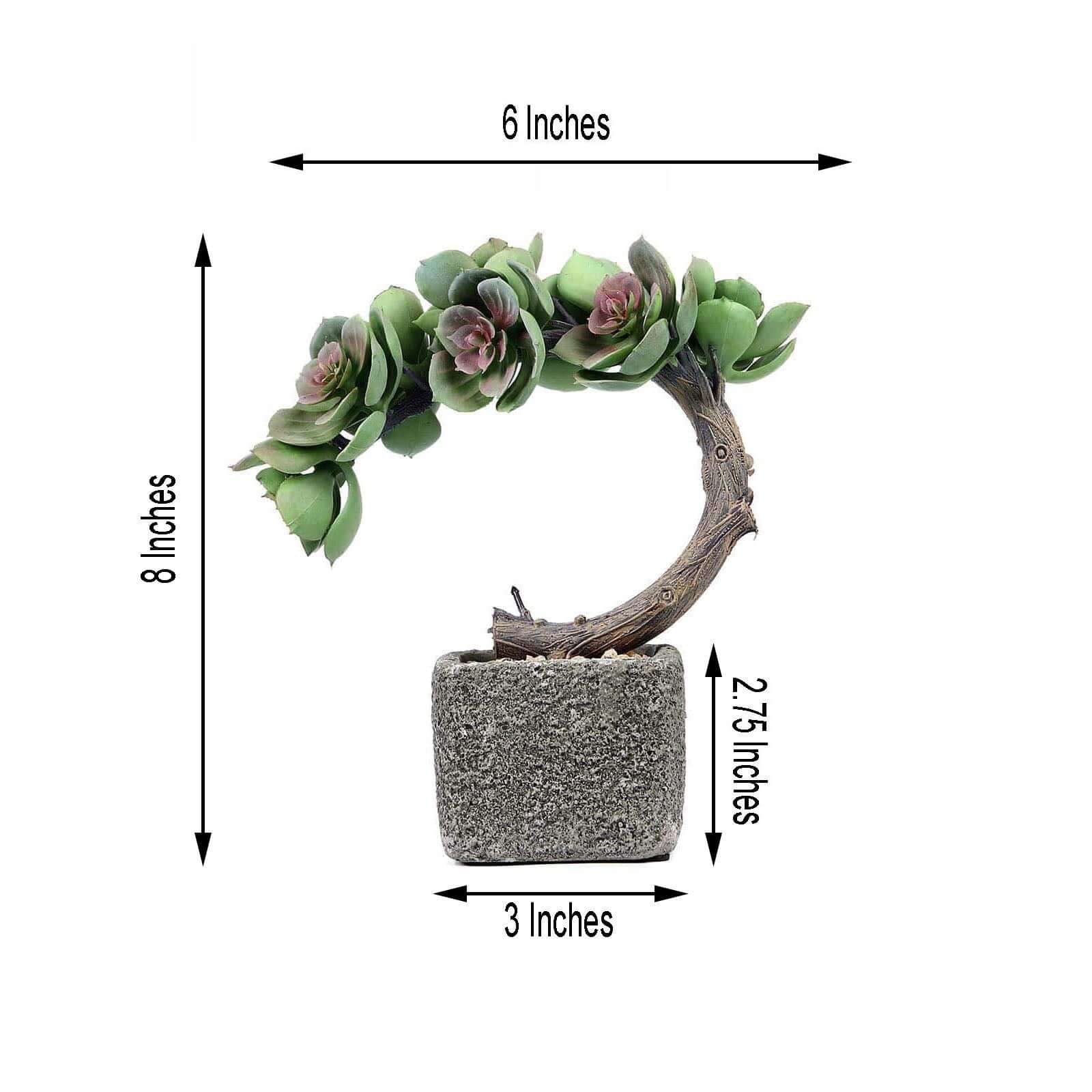 Perle Von Nurnberg Artificial Succulents in Concrete Pot - Lifelike Decorative Faux Plants for Home Office & Event Design 8