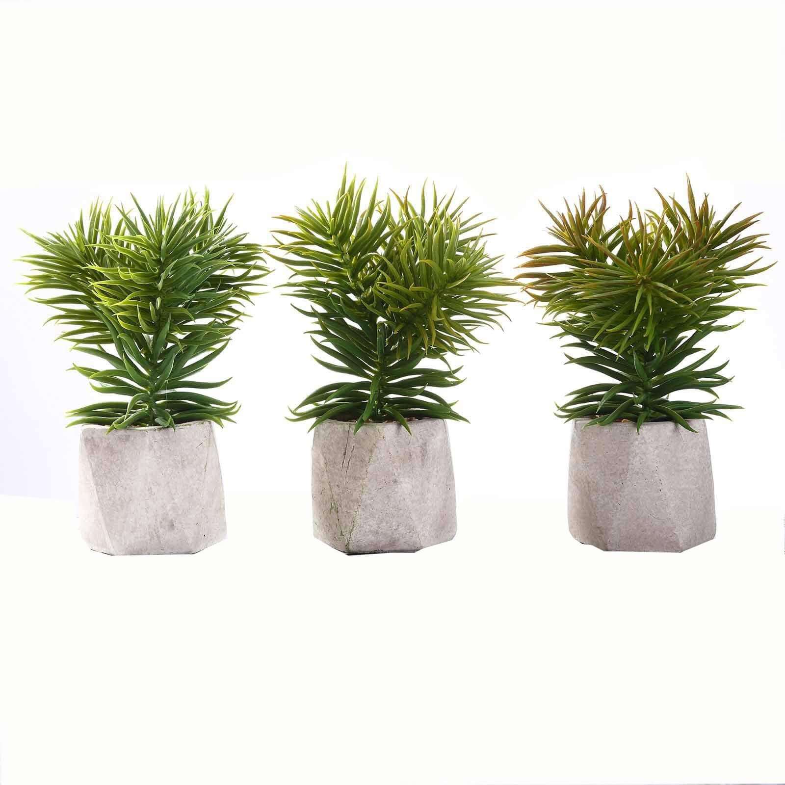 3-Pack Crassula Artificial Succulents in Geometric Ceramic Pot - Lifelike Decorative Faux Plants for Home Office & Event Design 8