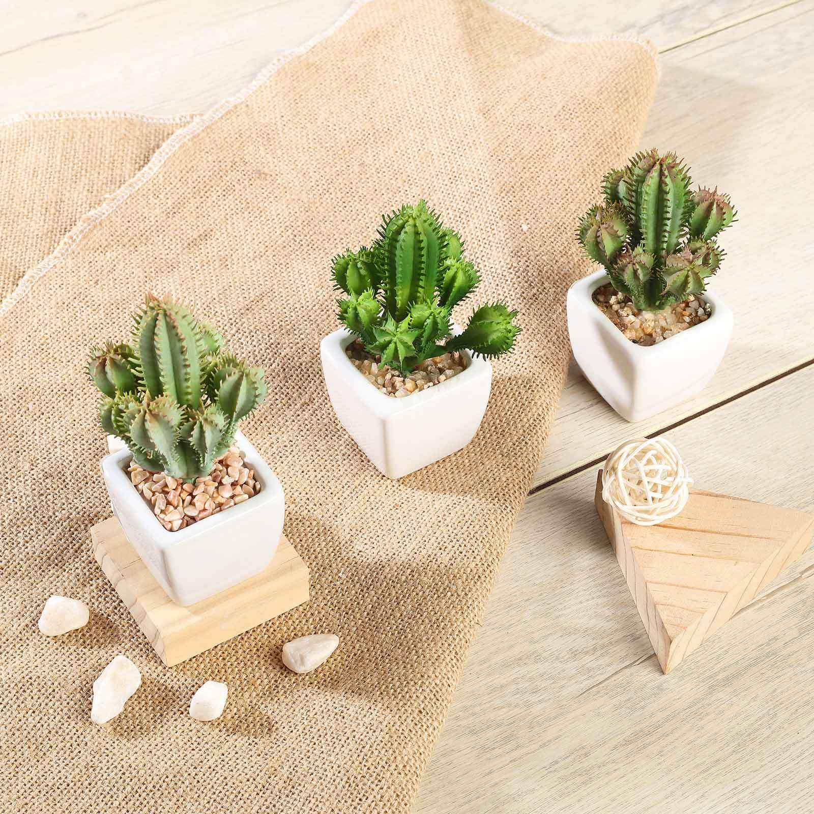 3-Pack Cacti Artificial Succulents in Ceramic Pot - Lifelike Decorative Faux Plants for Home Office & Event Design 5