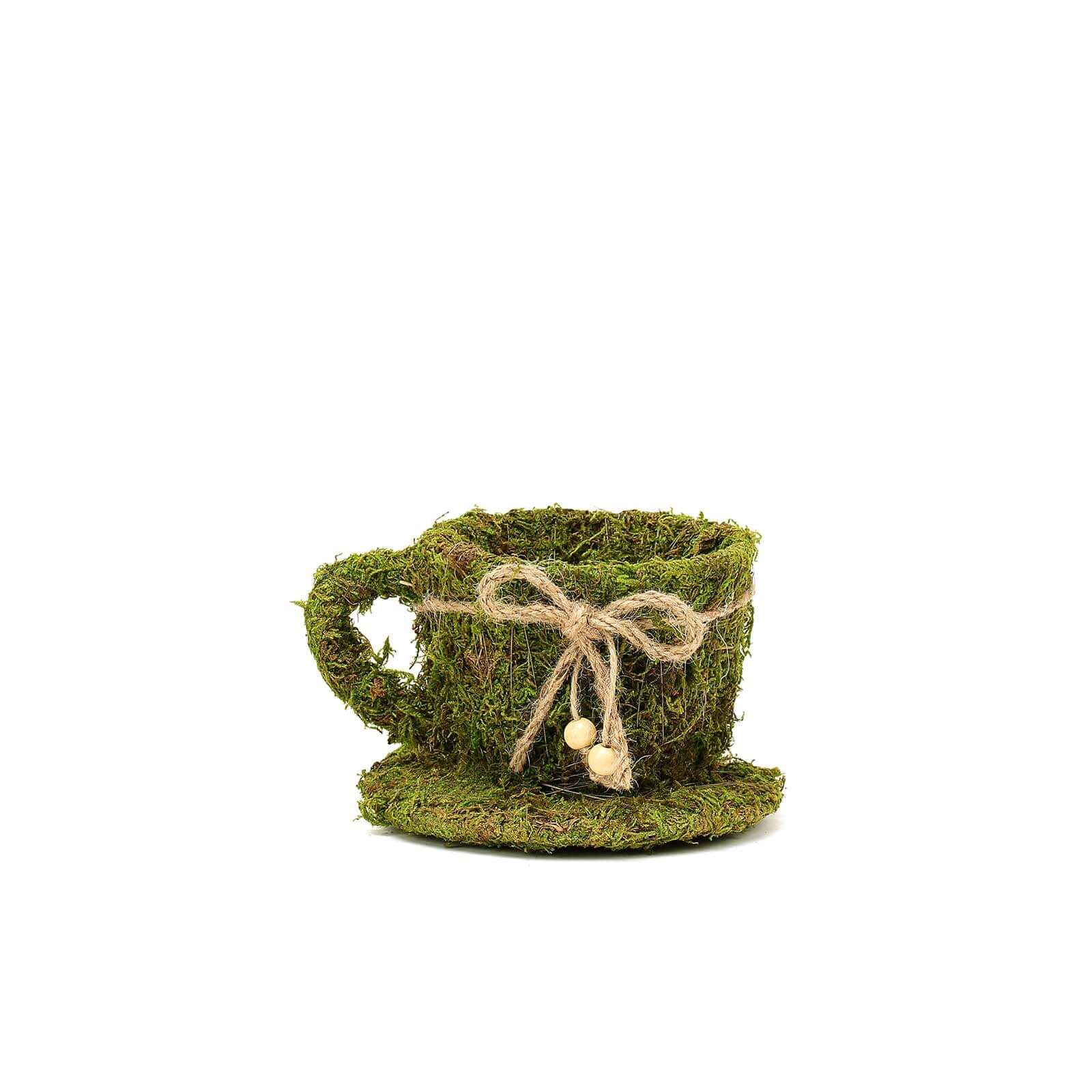 Set of 2 Teacup Shaped Planter Boxes Preserved Moss with Twine Green - Flower Basket Centerpieces 5, 4