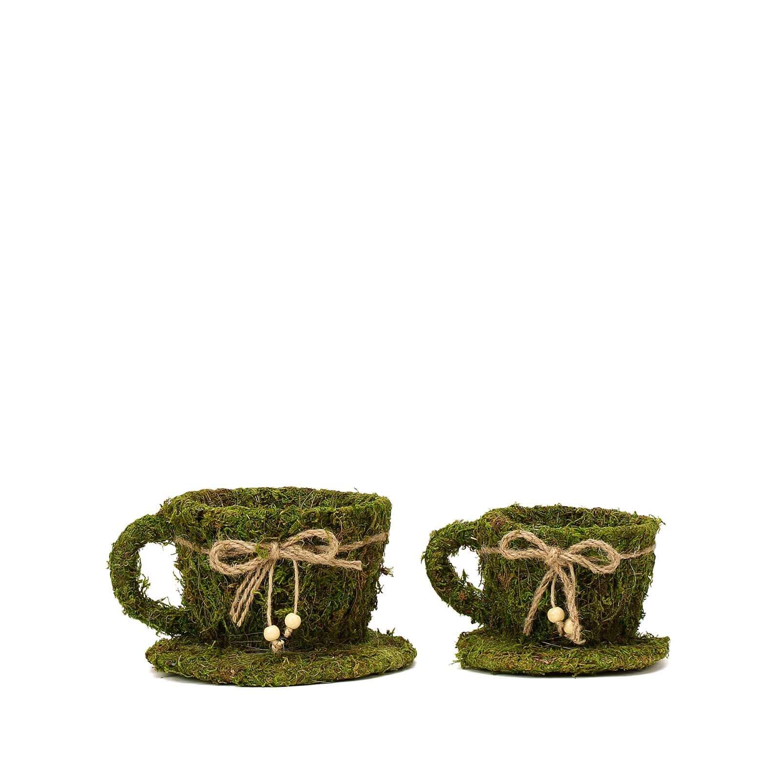 Set of 2 Teacup Shaped Planter Boxes Preserved Moss with Twine Green - Flower Basket Centerpieces 5, 4