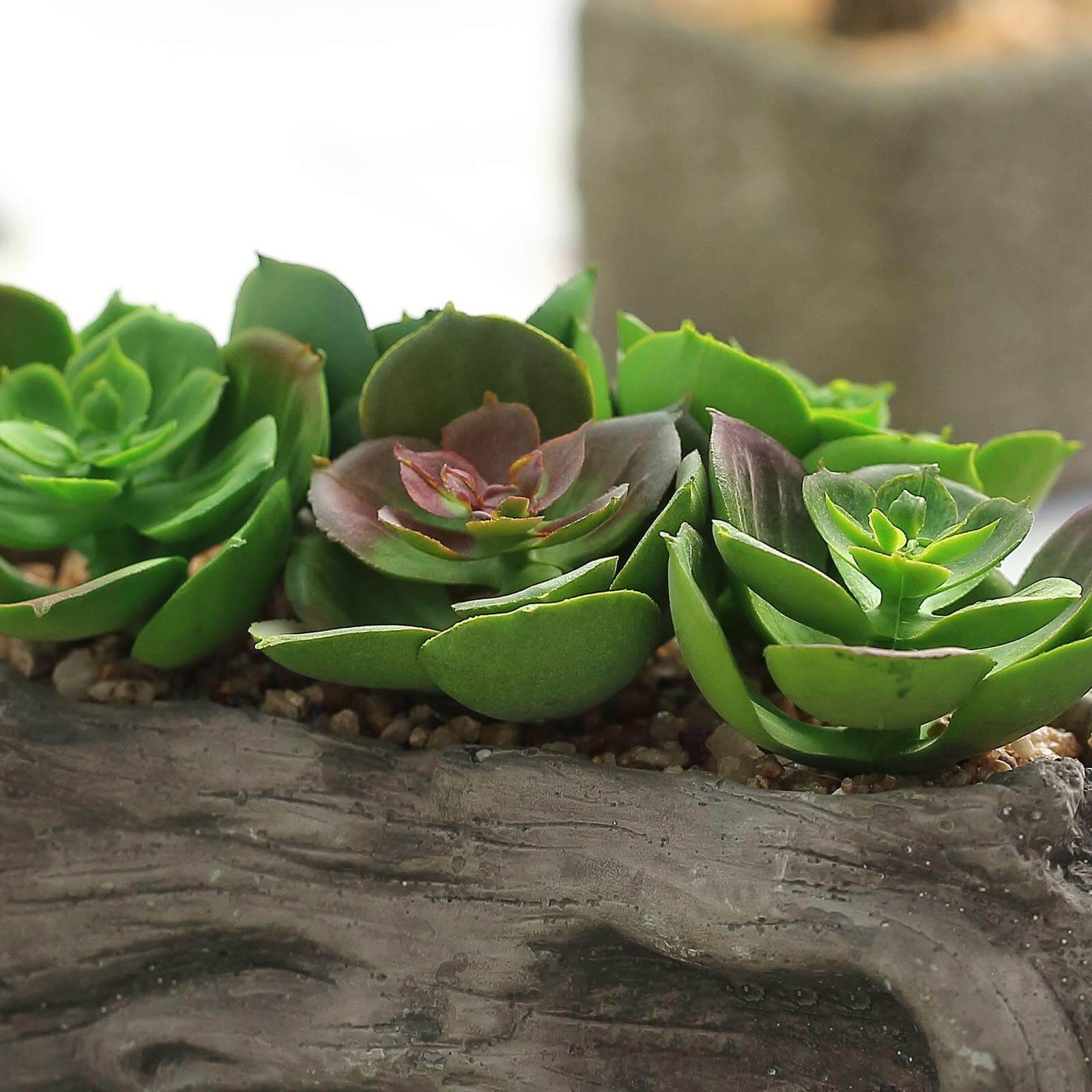 Perle Von Nurnberg Artificial Succulents Arrangements in 7 Log Planter - Lifelike Faux Plant for Stylish Home Bathroom Tabletop Indoor Outdoor Greenery Decor