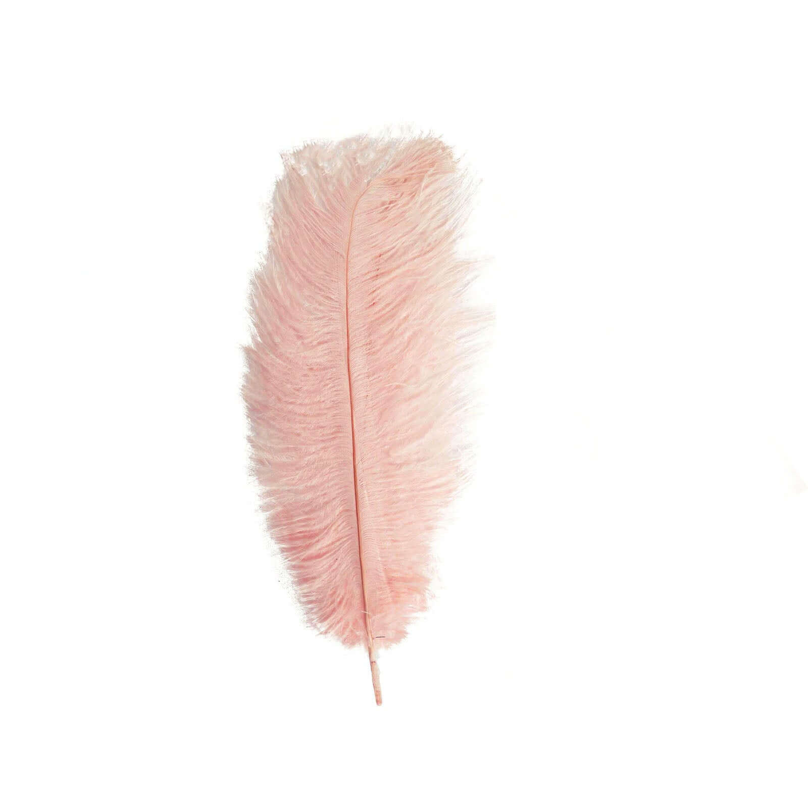 12 Pack 13-15 Rose Gold Natural Plume Real Ostrich Feathers, DIY Centerpiece Fillers