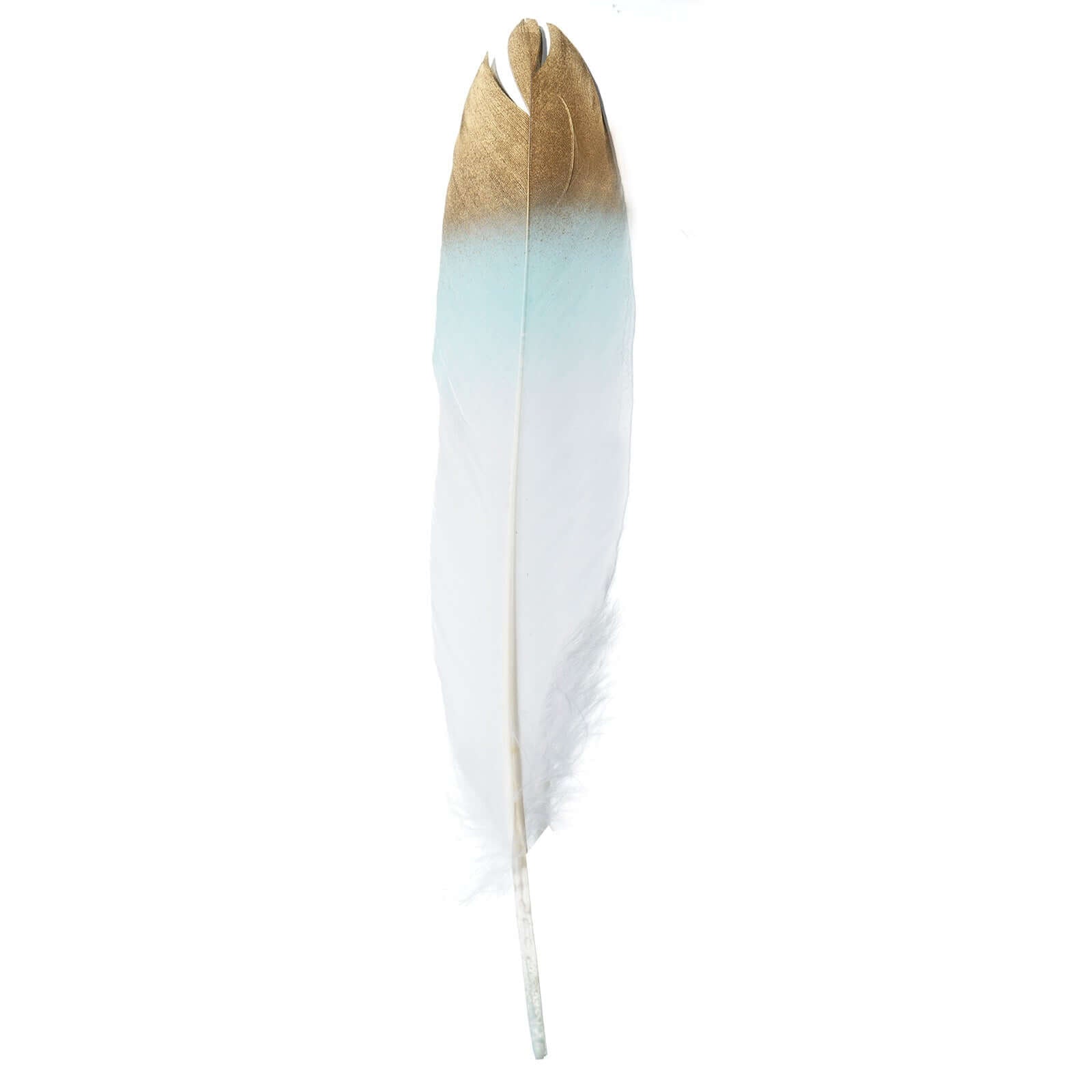 30-Pack Goose Feathers Craft Feathers Metallic Gold Tip Dual Tone Mint White - Decorative Feathers for DIY Projects