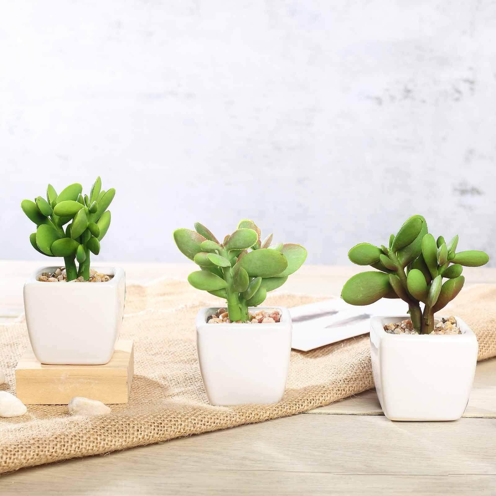 3-Pack Mini Jade Artificial Succulents in Ceramic Pots - Lifelike Decorative Faux Plants for Home Office & Event Design 3