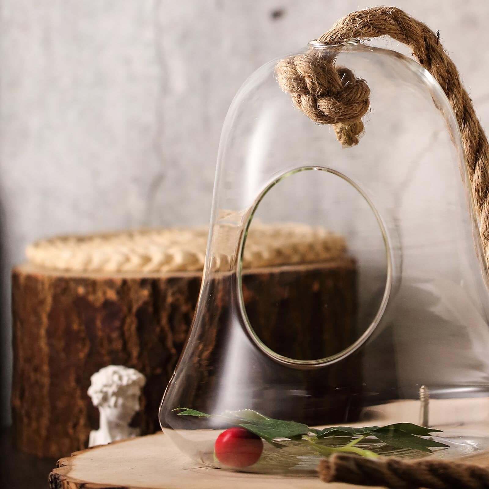 Glass Terrarium Hanging Bell Shaped Design with Twine Rope - Unique Free-Falling Planter for Air Plants & Displays 9