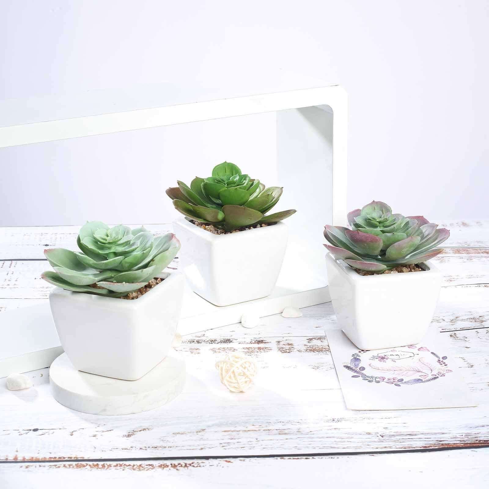 3-Pack Echeveria Artificial Succulents in Ceramic Pot - Lifelike Decorative Faux Plants for Home Office & Event Design 4