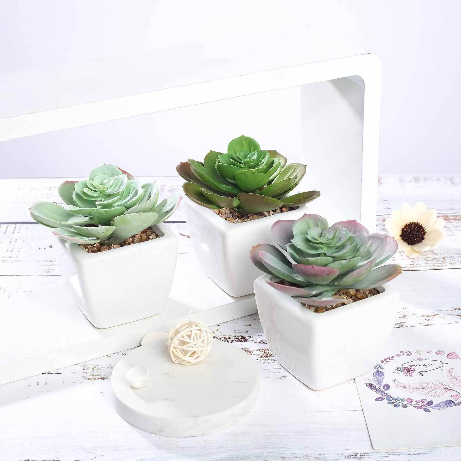 3-Pack Echeveria Artificial Succulents in Ceramic Pot - Lifelike Decorative Faux Plants for Home Office & Event Design 4