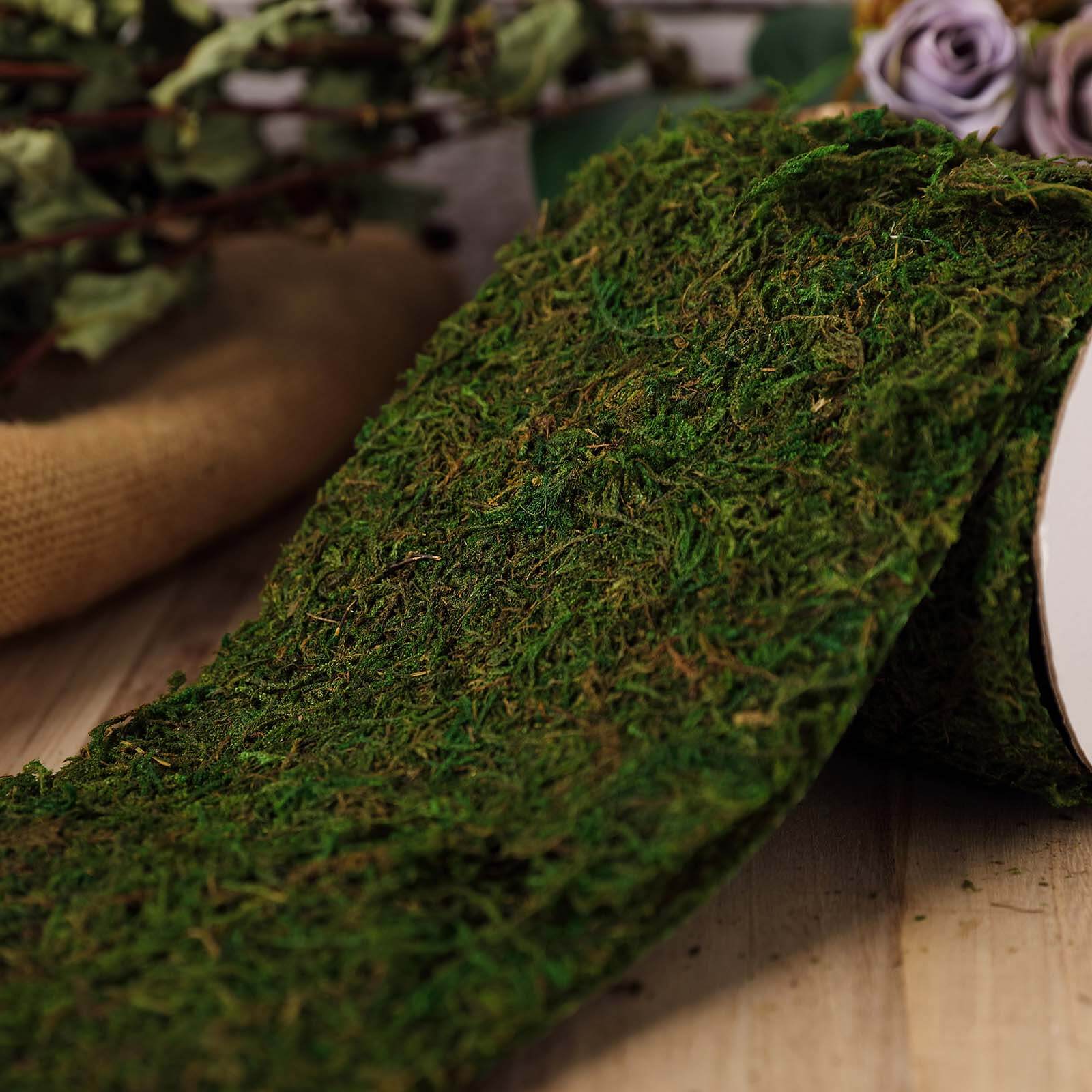 4ft 5 Wide Green Preserved Moss Ribbon Roll, DIY Craft Ribbon