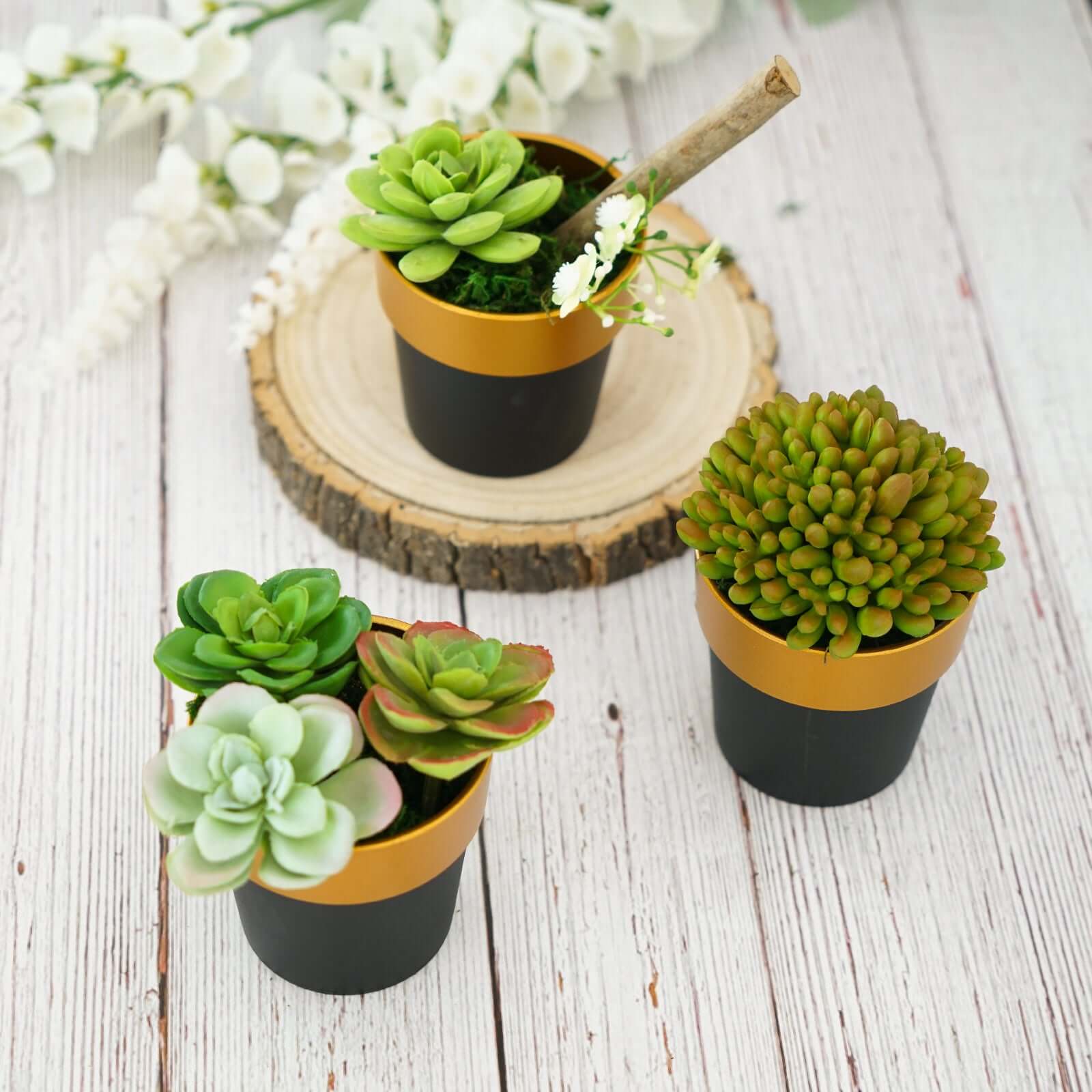 3-Pack Flower Plant Pots Small Design Black with Gold Rim - Plastic Indoor Decorative Planters 3