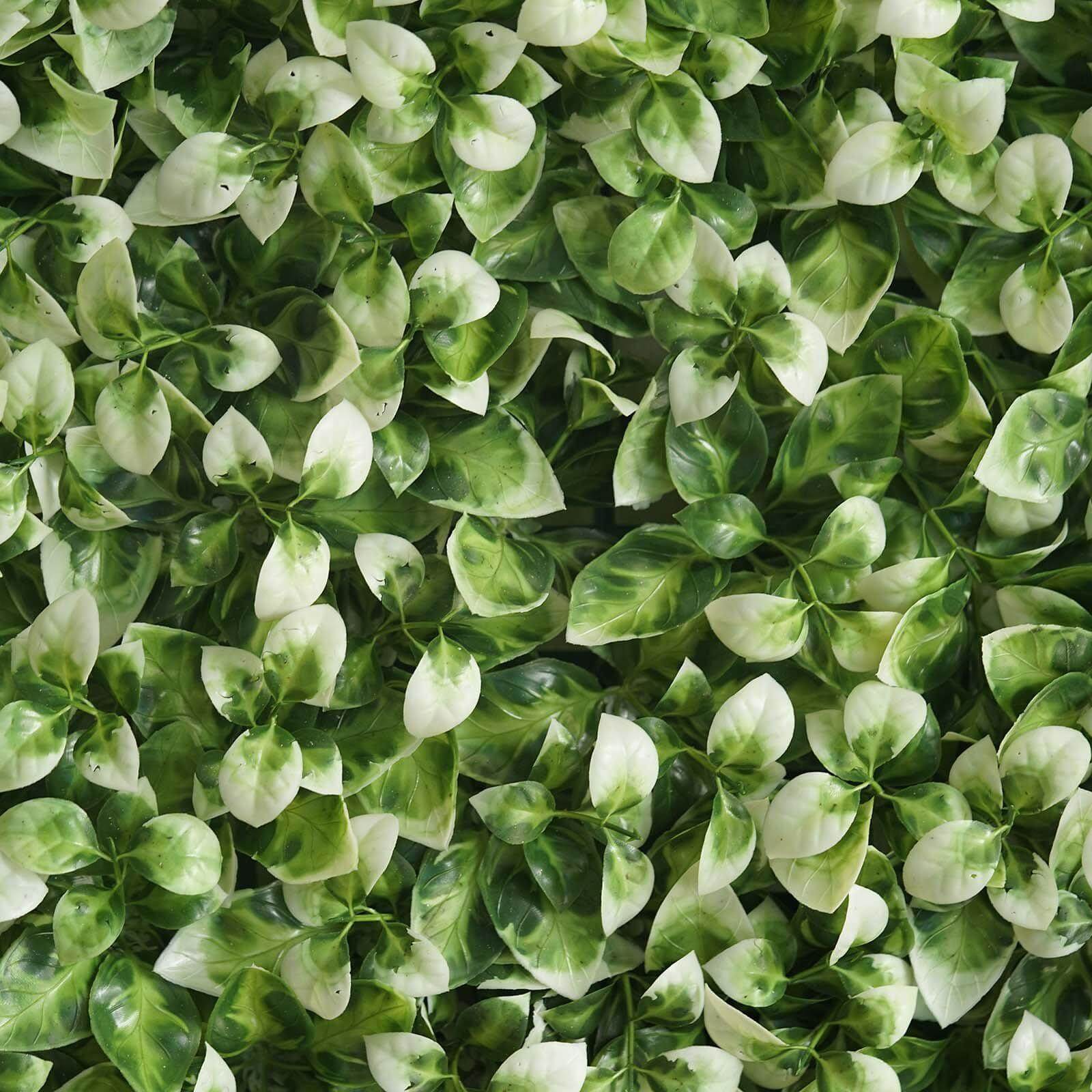 11 Sq ft. White Tip Green Boxwood Hedge Garden Wall Backdrop Mat - 4 Artificial Panels