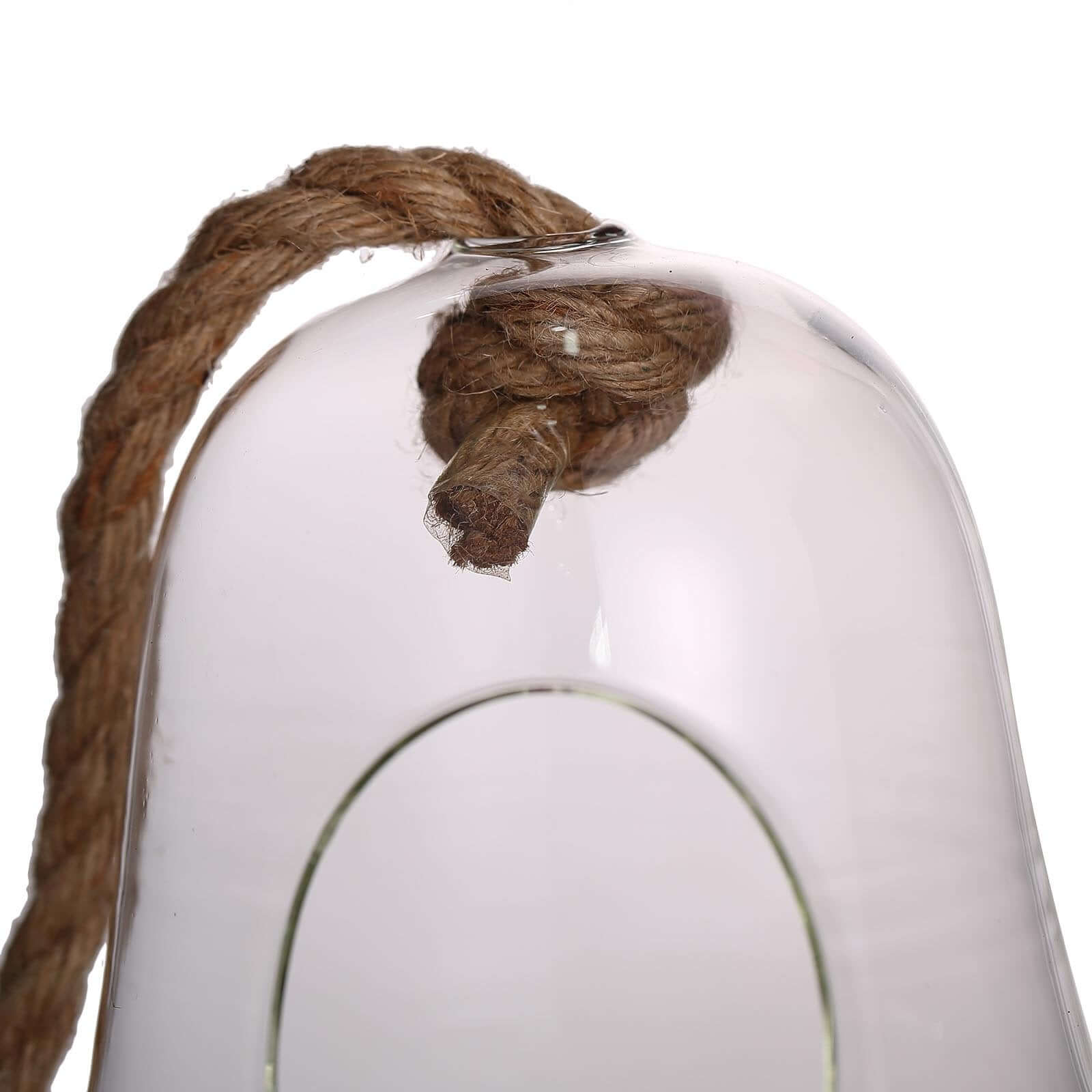 Glass Terrarium Hanging Bell Shaped Design with Twine Rope - Unique Free-Falling Planter for Air Plants & Displays 9