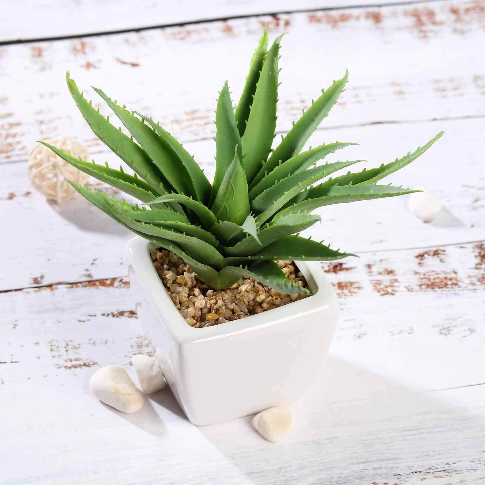 3-Pack Spotted Aloe Vera Artificial Succulents in Ceramic Pot - Lifelike Decorative Faux Plants for Home Office & Event Design 5